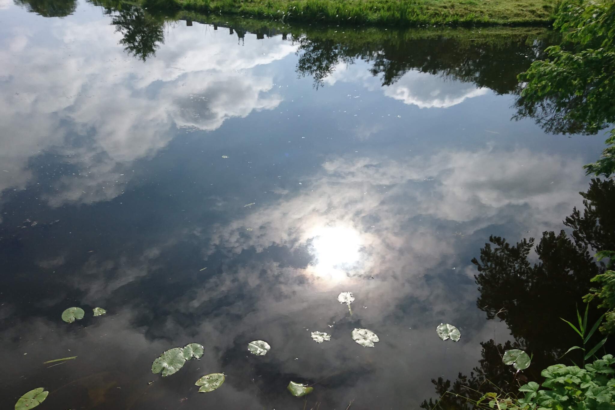 Water View