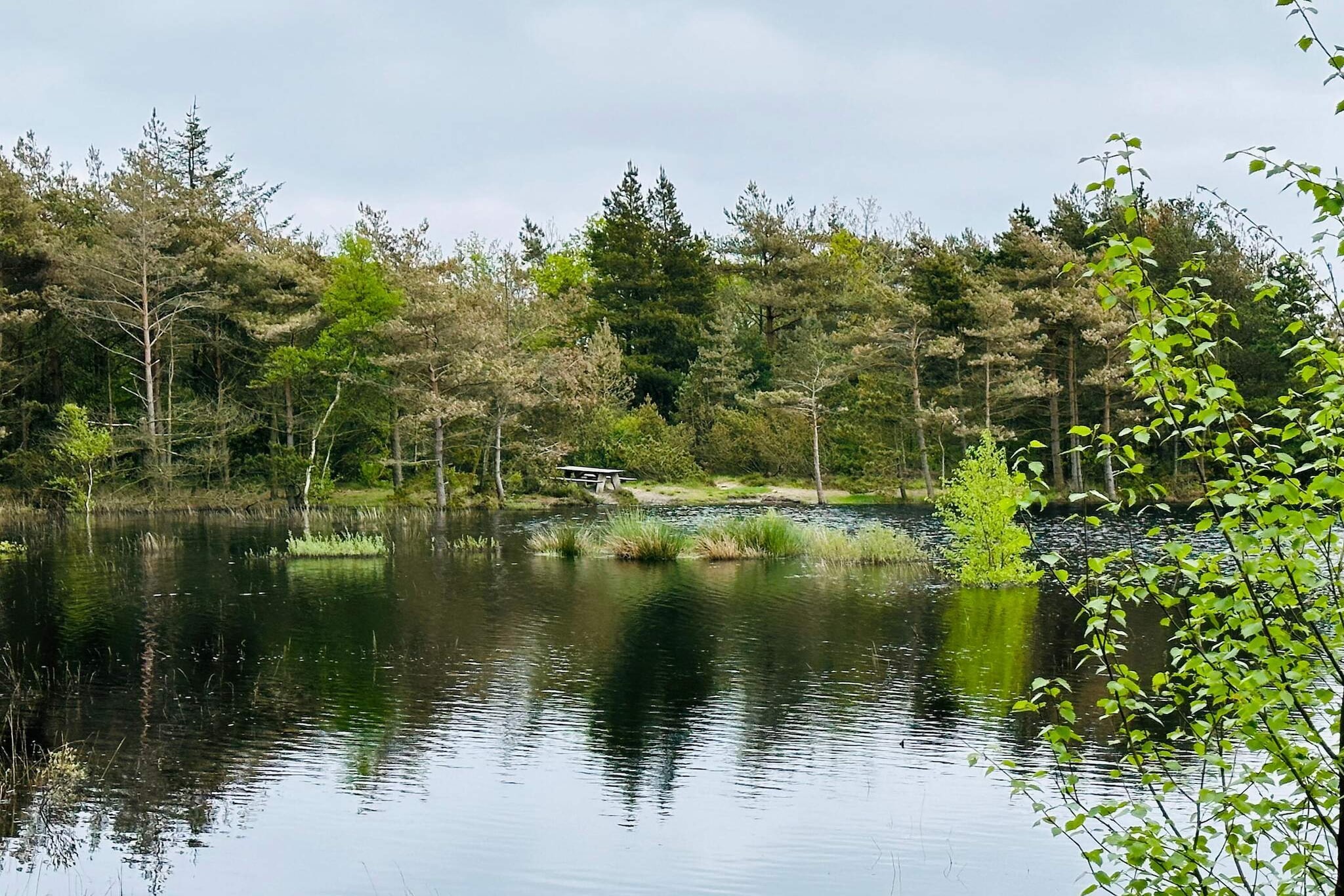 Water View