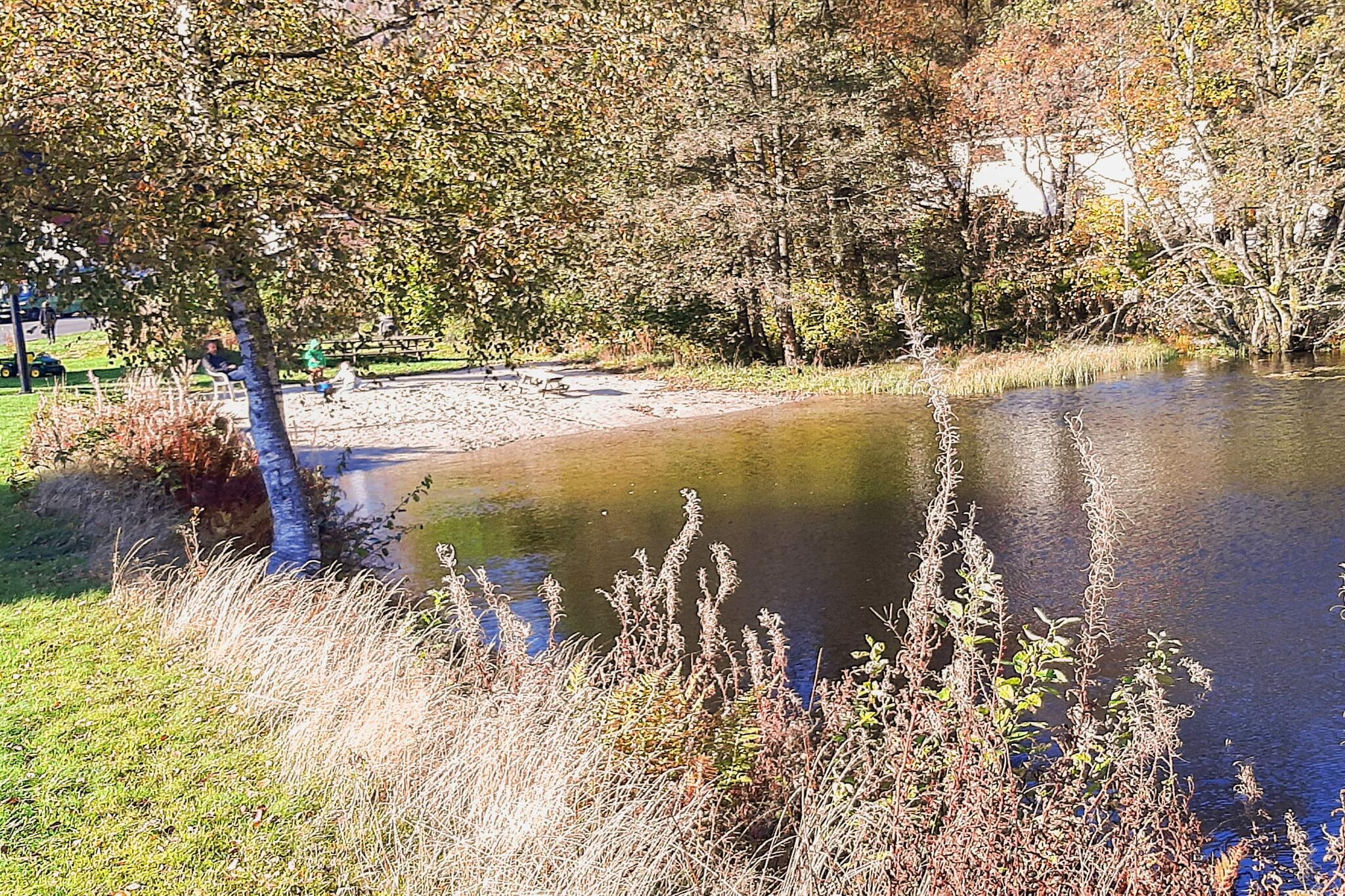 Internet Access DSL, open kitchen(cooker(electric), hood, coffee machine(filter), waffle iron, dishwasher, fridge, freezer(200-249L), tumble dryer, washing machine, high chair), Living/bed room(30 m2)(TV(german television channels)), bedroom(double bed, cot), bedroom(double bed), bedroom(double bed), bathroom(washbasin, toilet), bathroom(floor heating)(bathtub or shower, washbasin, toilet), heating(electric), terrace(40 m2), garden furniture, BBQ, parking, fish cleaning table, air to air heatpump