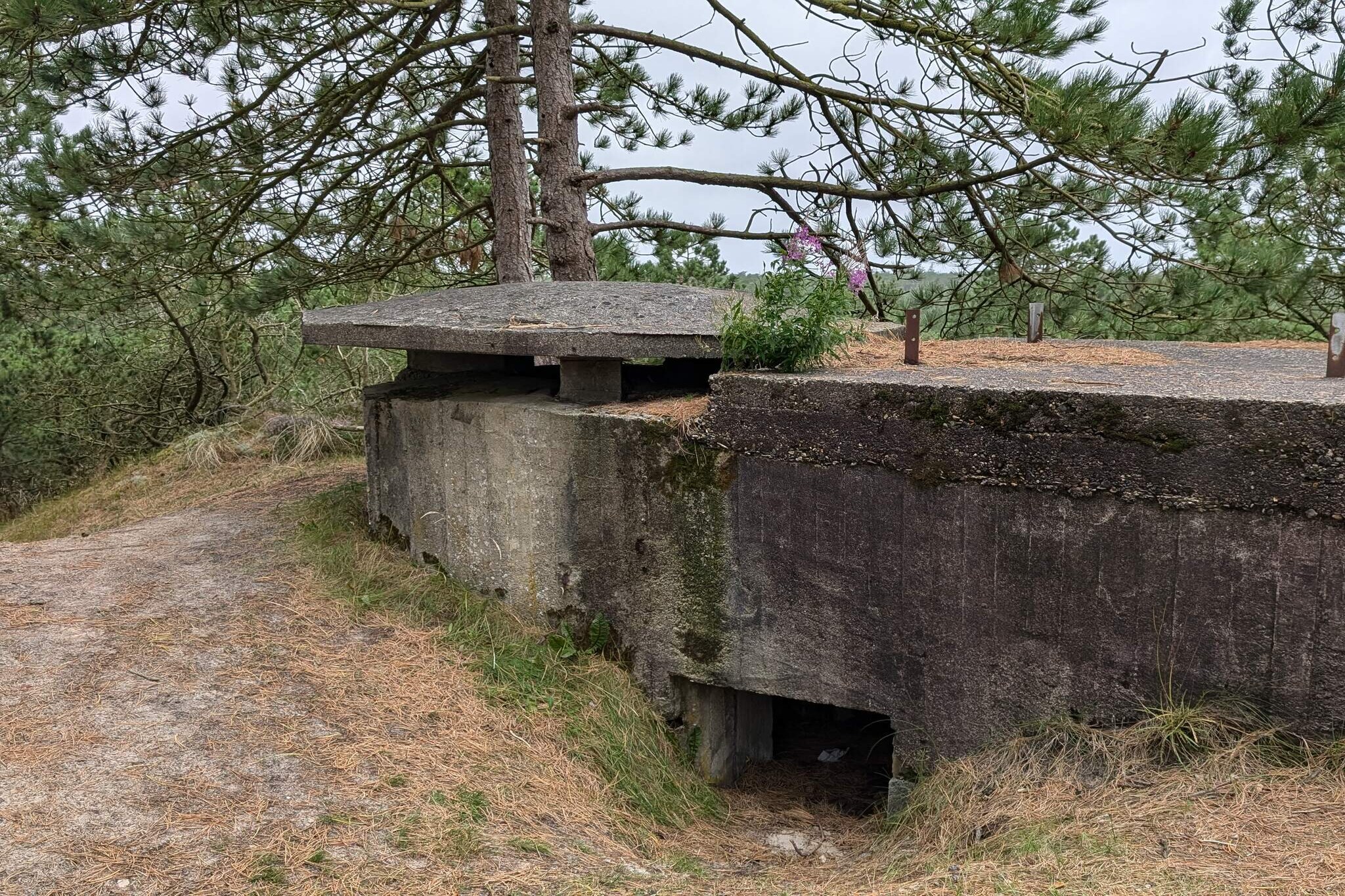 4 person holiday home in OksbÃ¸l