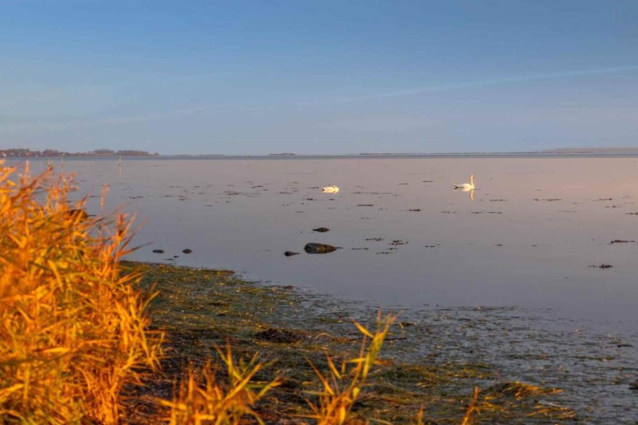 4 sterren vakantie huis in Kalvehave-Waterzicht