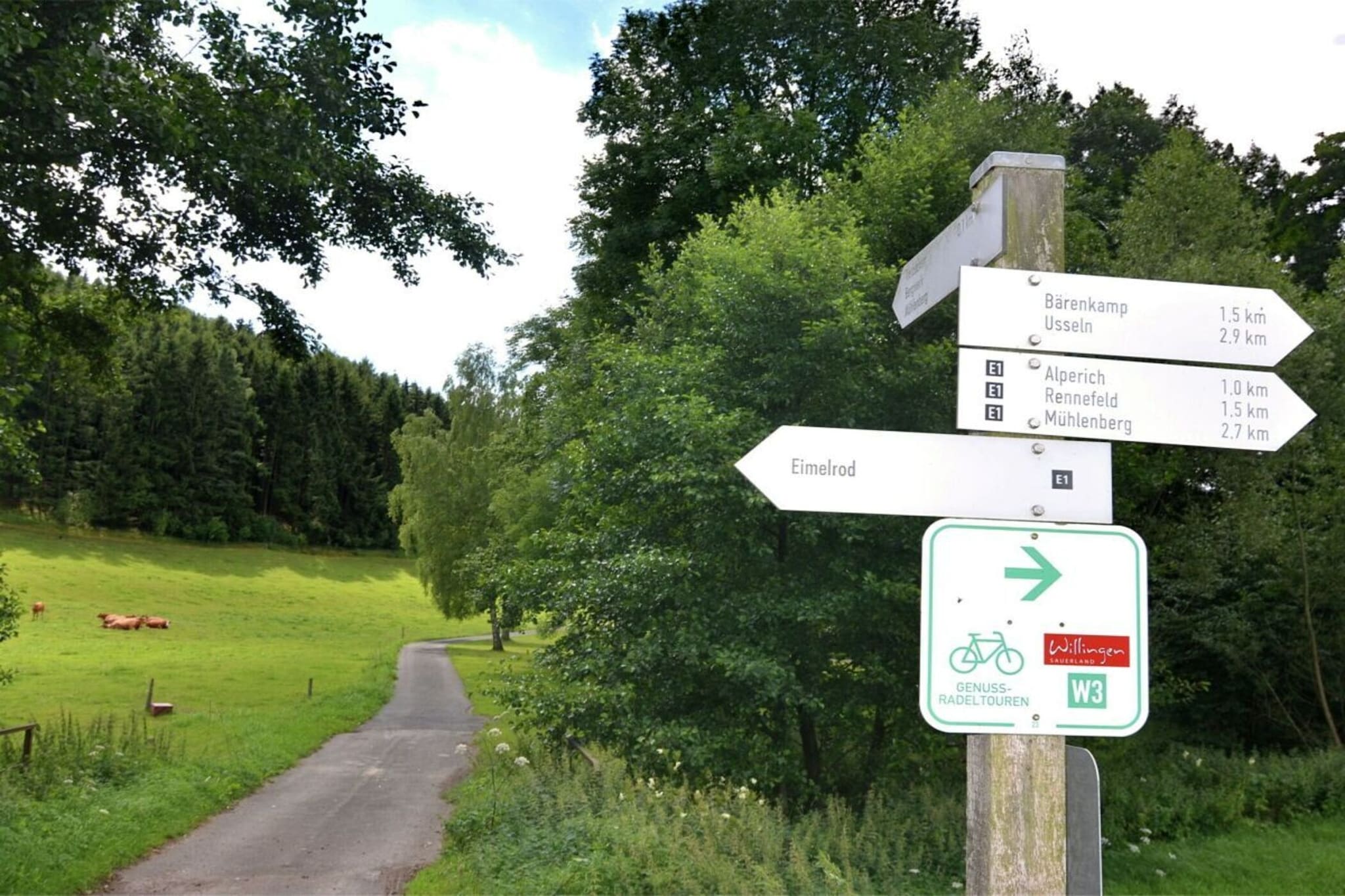 202645-Areas summer 5km