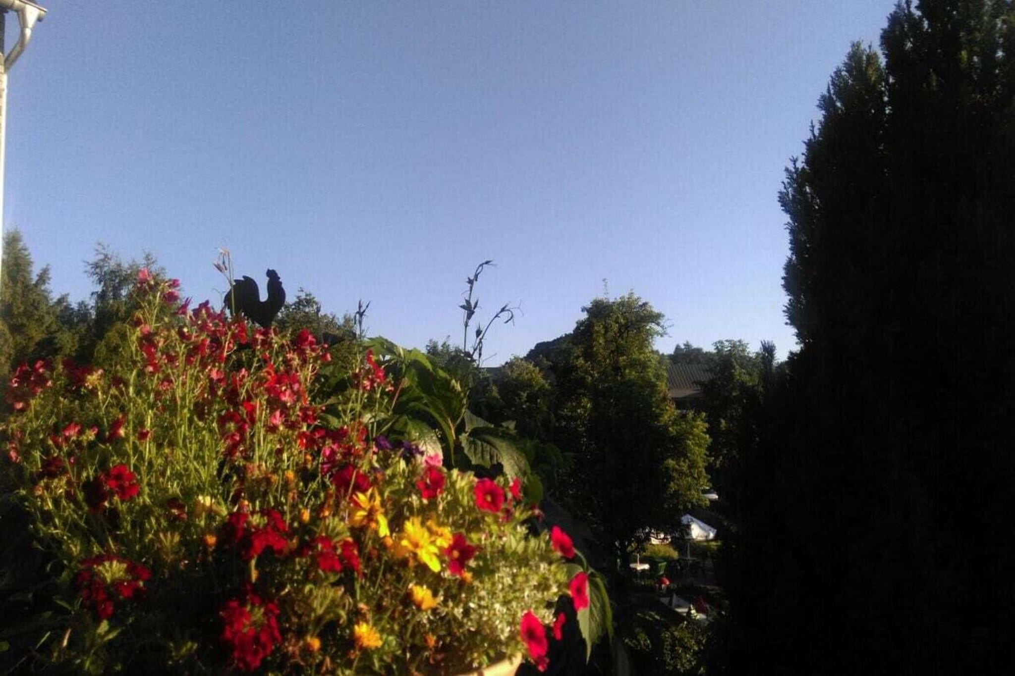202645-View summer