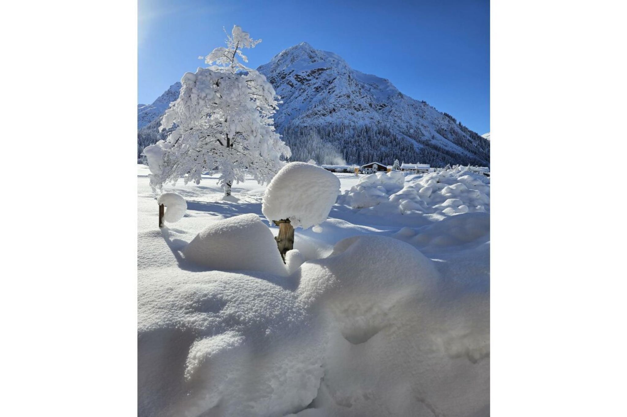 529731-Gebied winter 1km