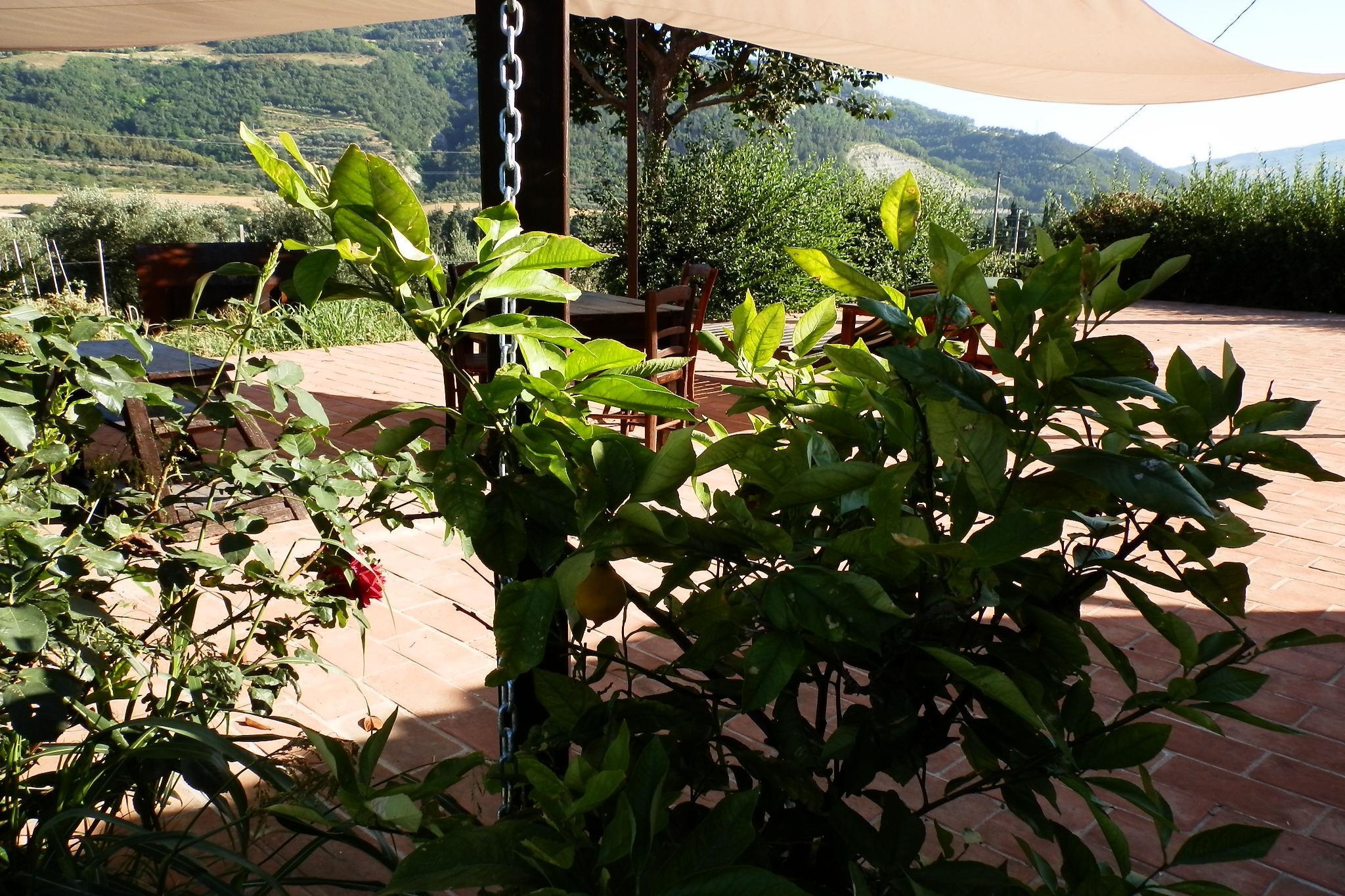 Pozzo-Terrasbalkon
