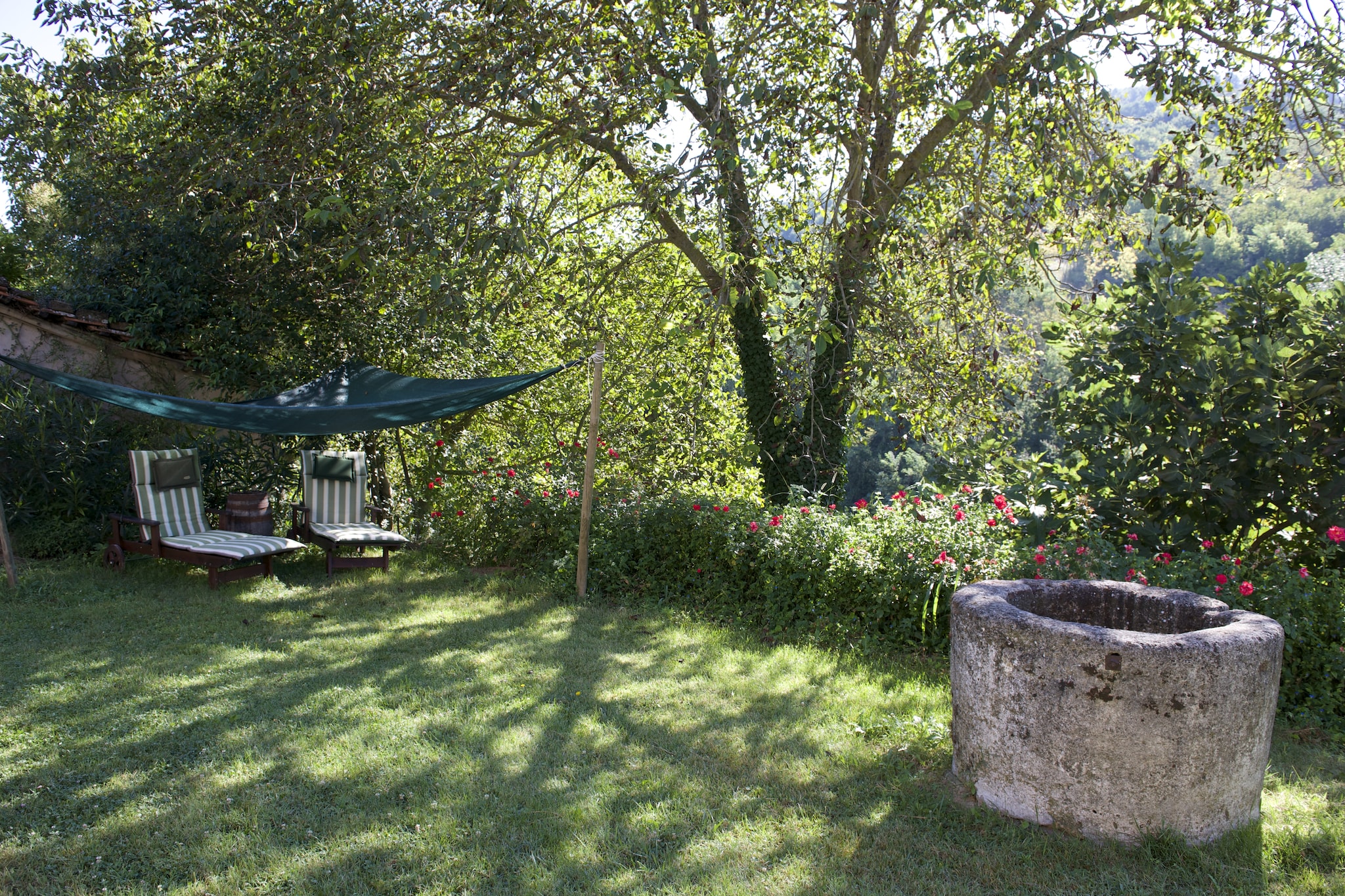 Pozzo-Tuinen zomer