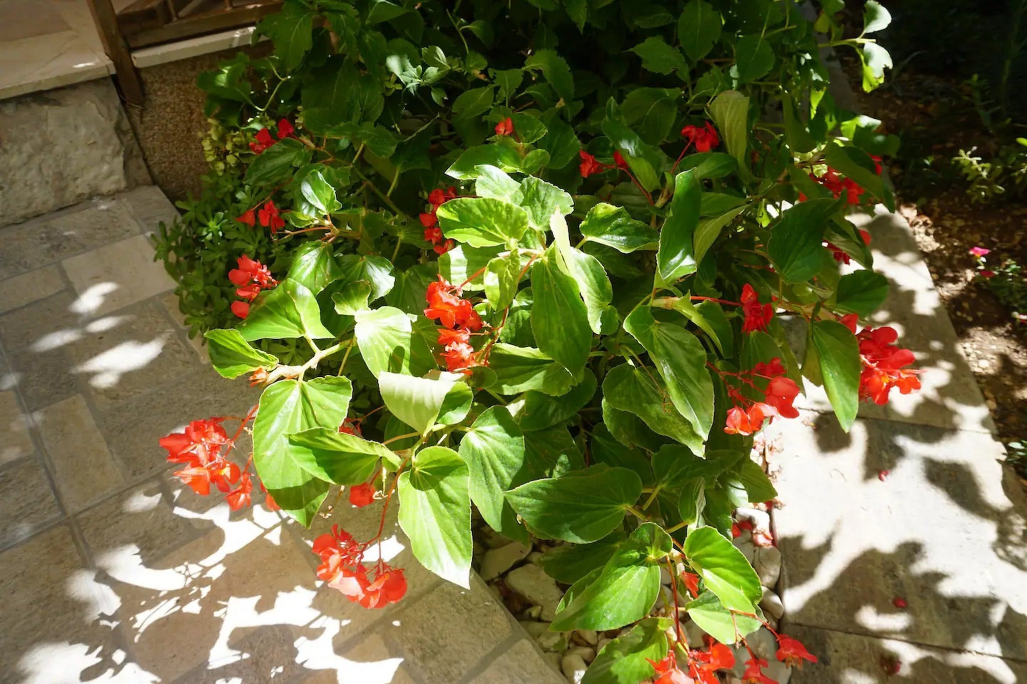 Modern Trogir Apartment with Private Patio, BBQ, and Close to Beach - Two Bedroom Apartment-Gardens summer