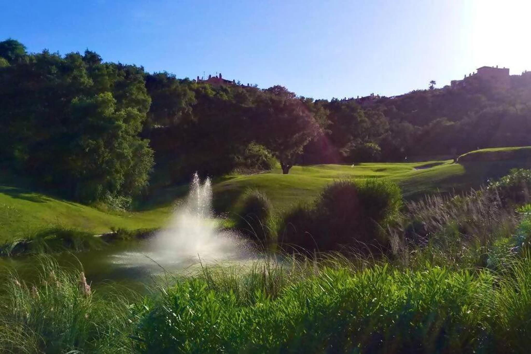 La Floresta Sur 8-1-Areas summer 20km