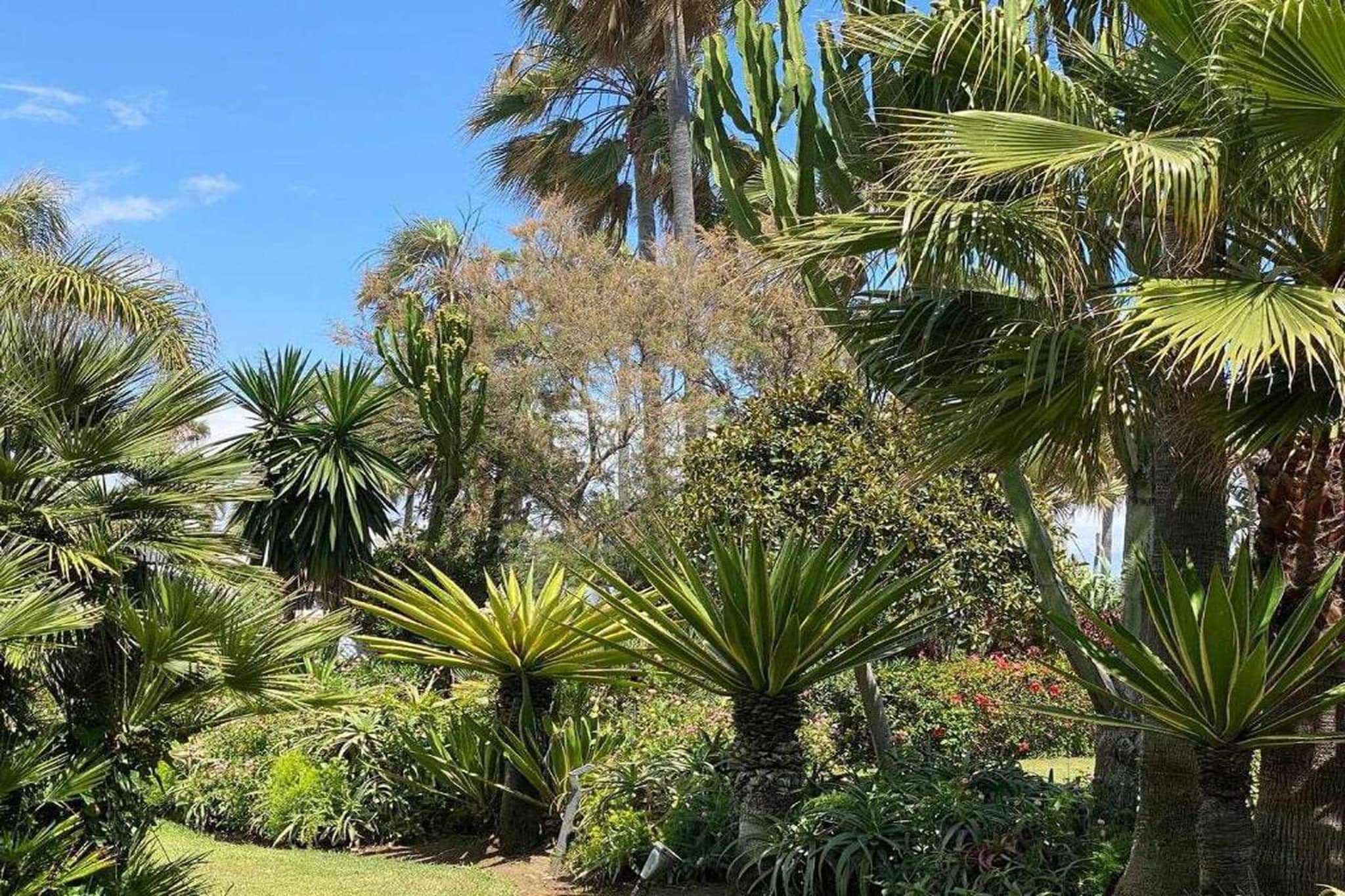 Benavista Studio - El Paraiso-Gebieden zomer 20km