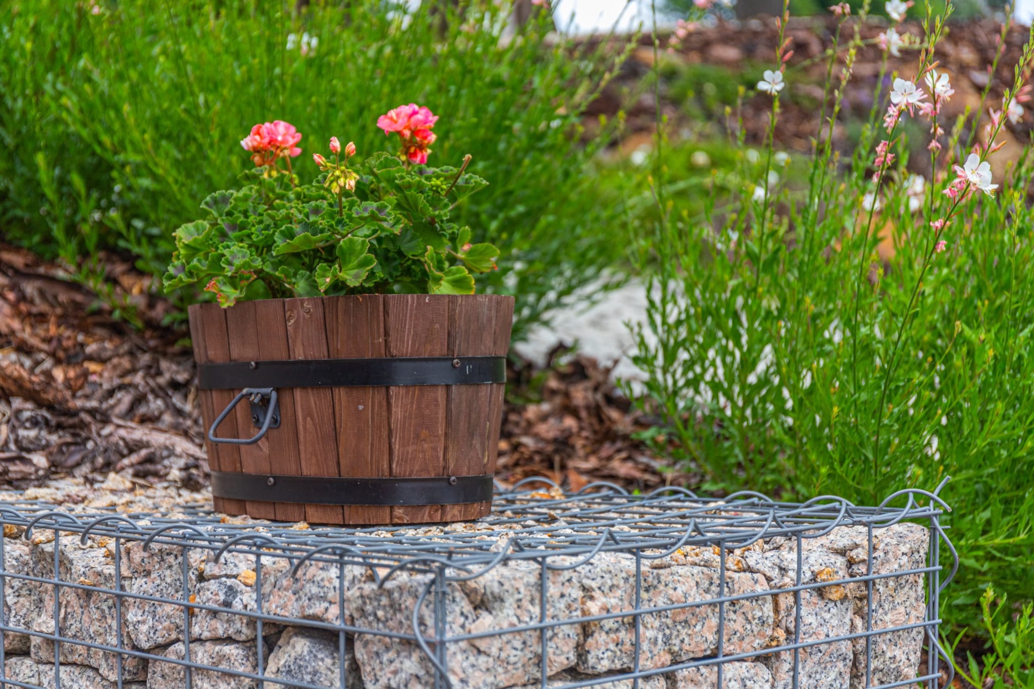 Lazne Libverda LLP015-Gardens summer