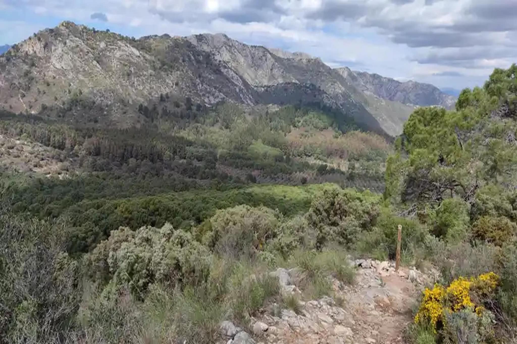 La Mairena 54-Gebieden zomer 20km