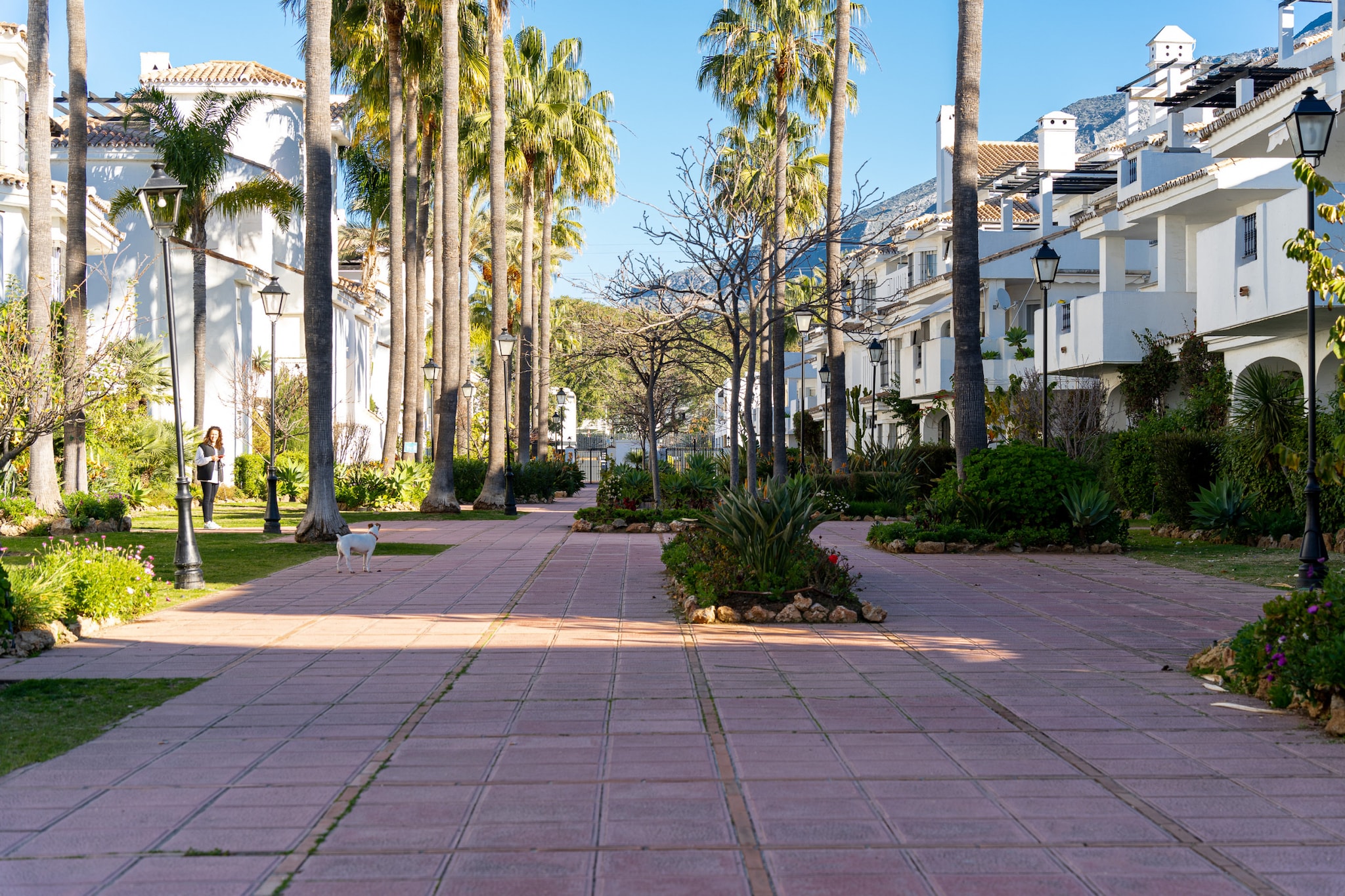 Ground floor apartment los Naranjos 8-Image-tags.resort