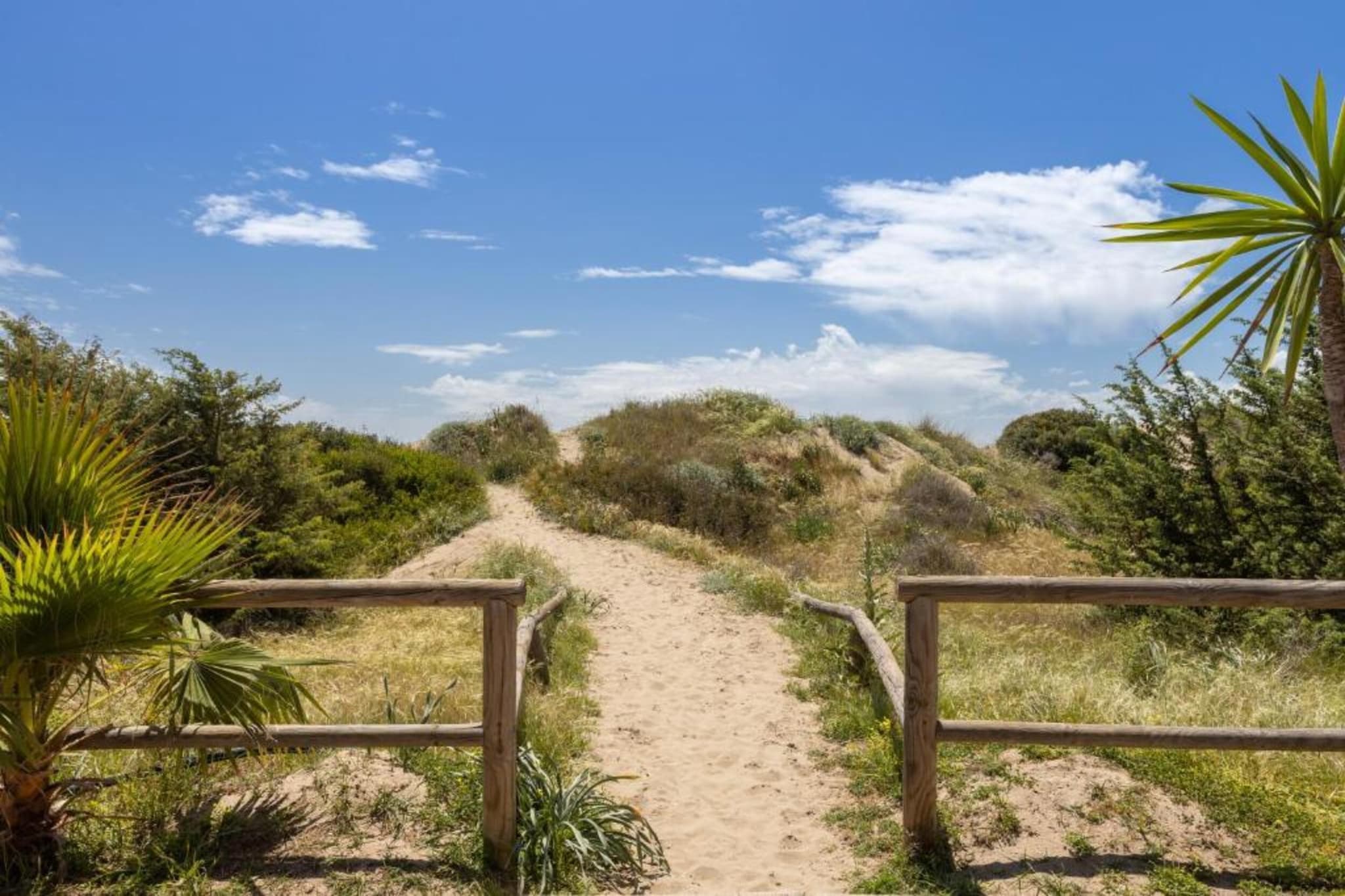 Alvarito Playa-Gebieden zomer 5km