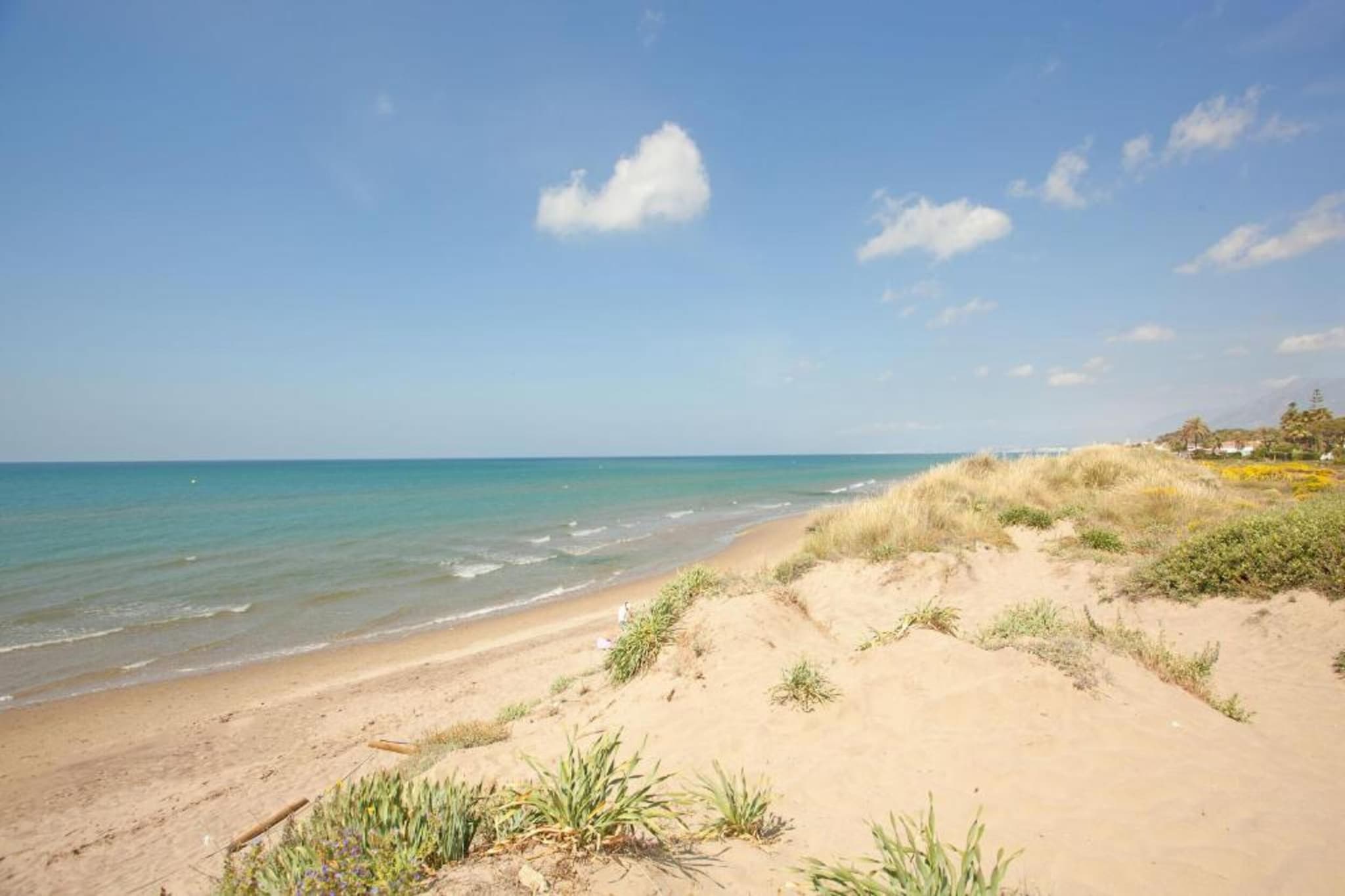 Reserva de Marbella-Gebieden zomer 5km