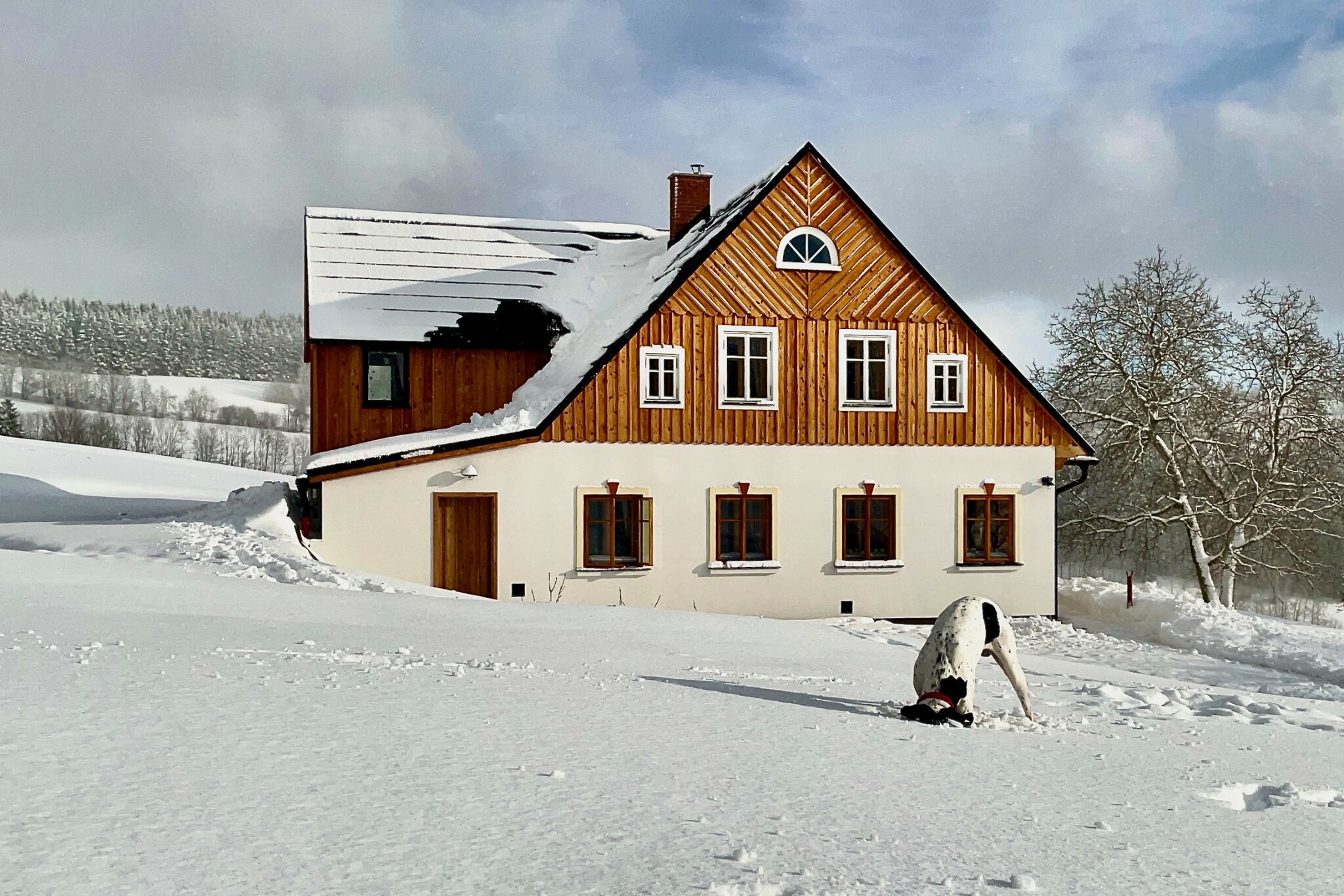 Víchová nad Jizerou LVV033-Outdoor