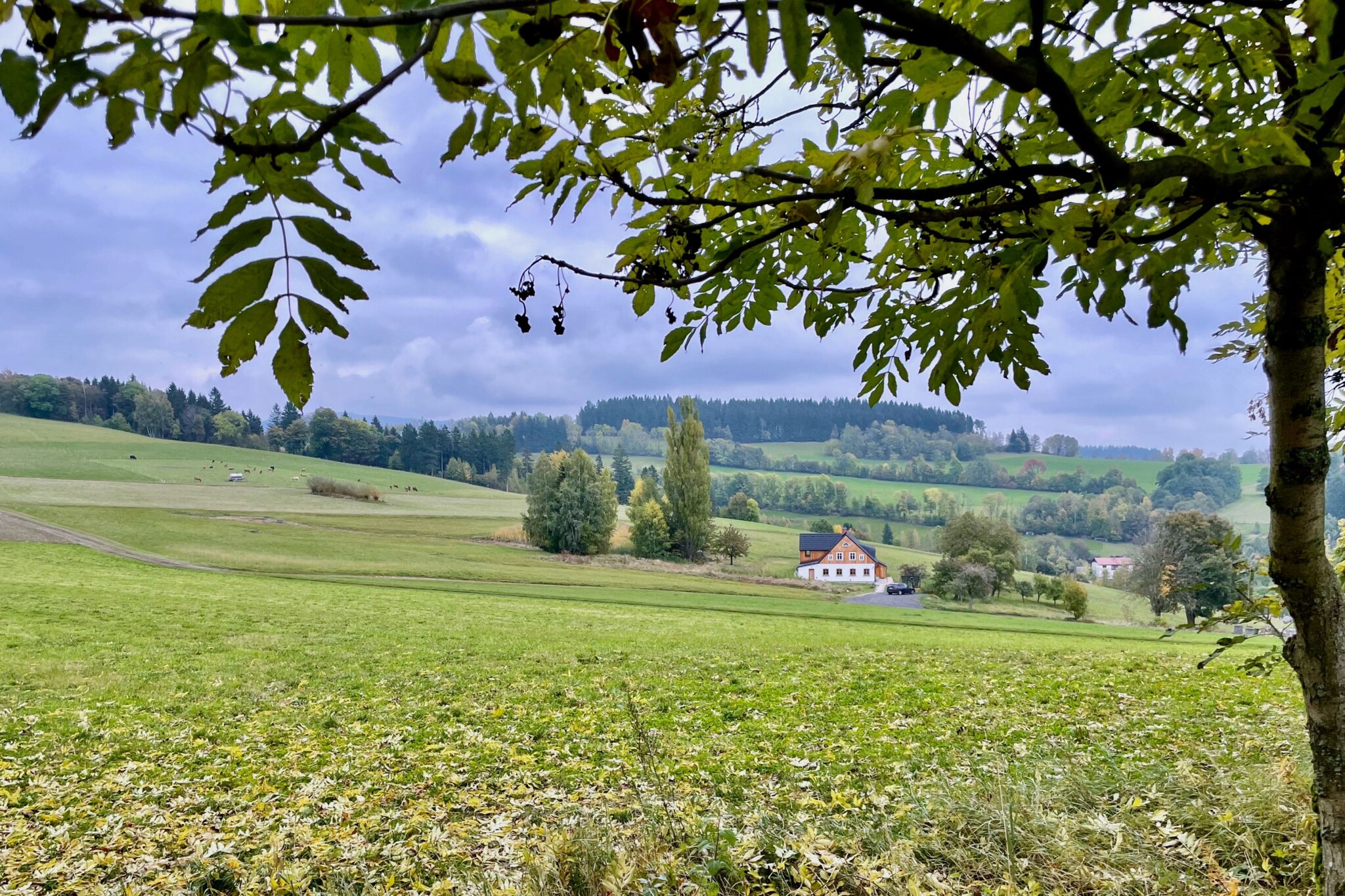 Víchová nad Jizerou LVV033-Outdoor