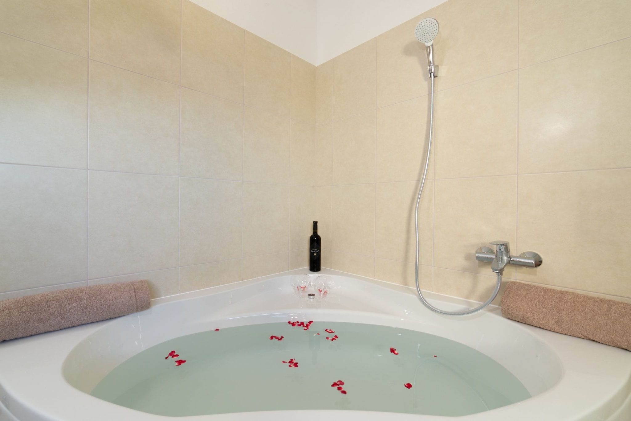 Idyllic Getaway Lovrec Villa with Pool - Five Bedroom Villa with Pool-Salle de bain