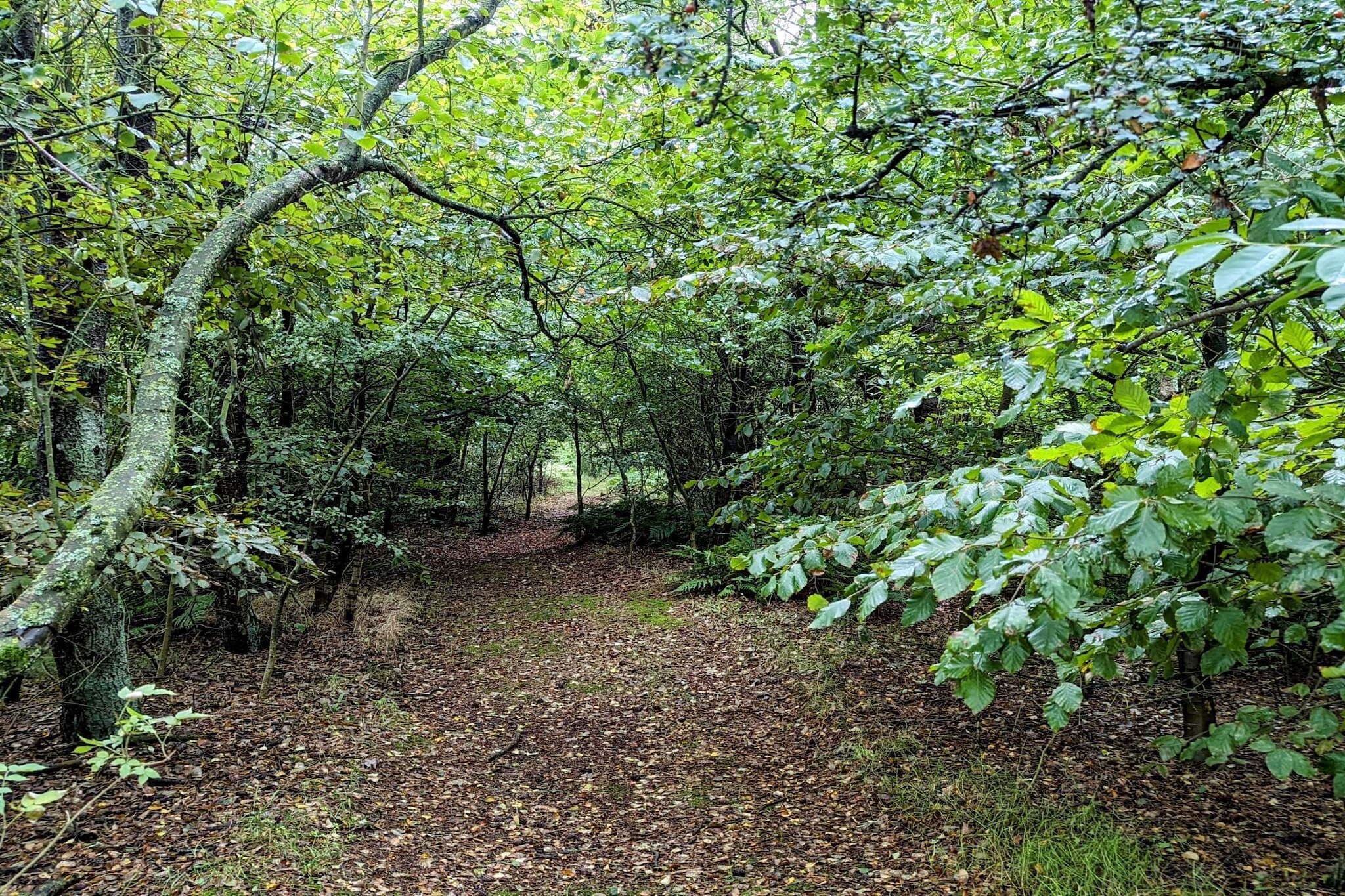 Internet Access DSL, Kitchen(cooker(electric), dishwasher, fridge-freezer), bedroom(single bed), bedroom(single bed), bathroom(dishwasher, washbasin, shower, toilet)