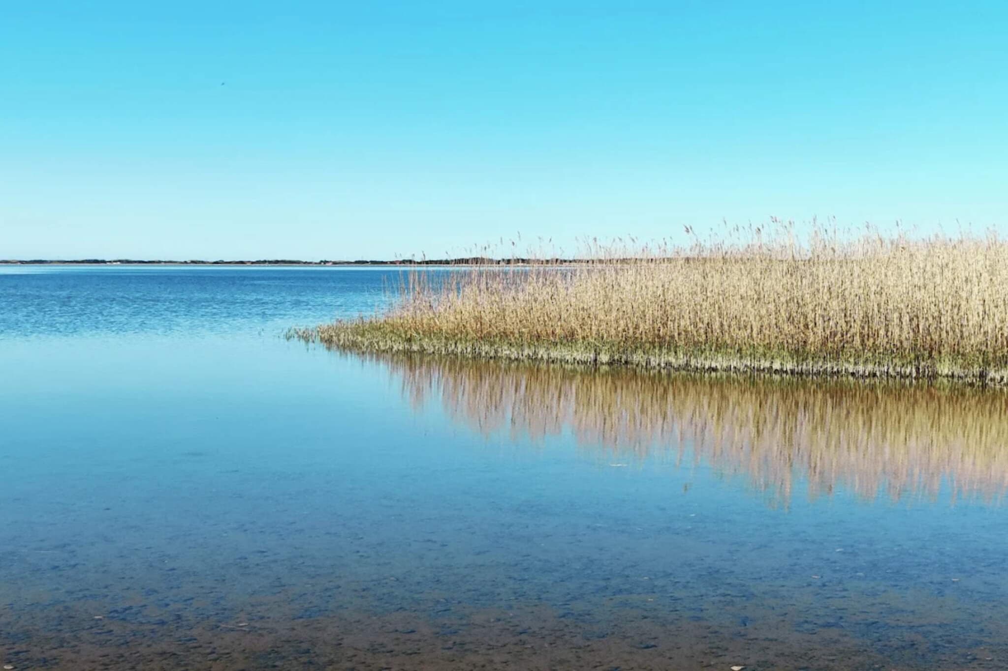 Vakantiehuis in Denemarken - Waterzicht