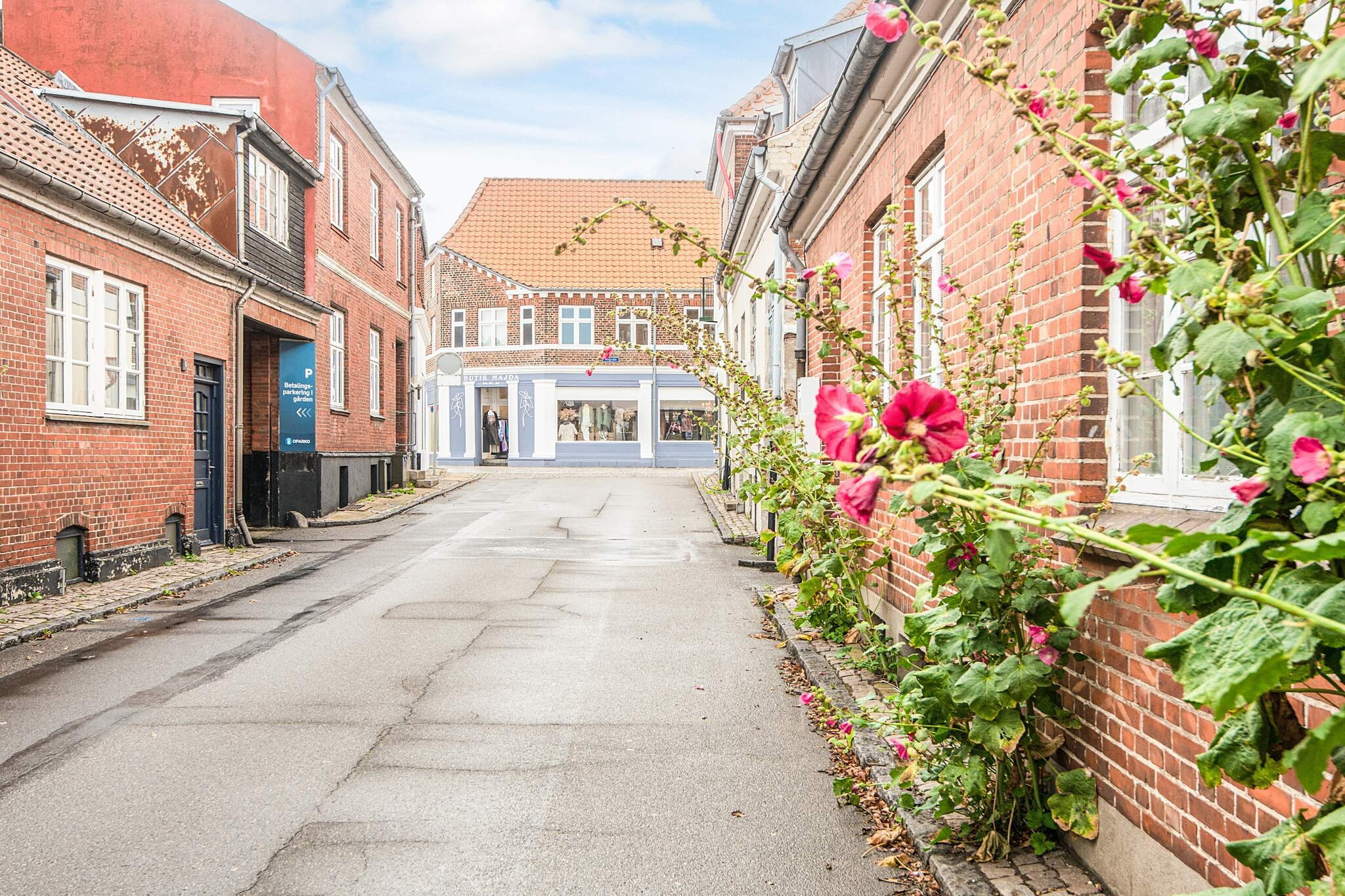 Vakantiehuis in Denemarken - Uitzicht