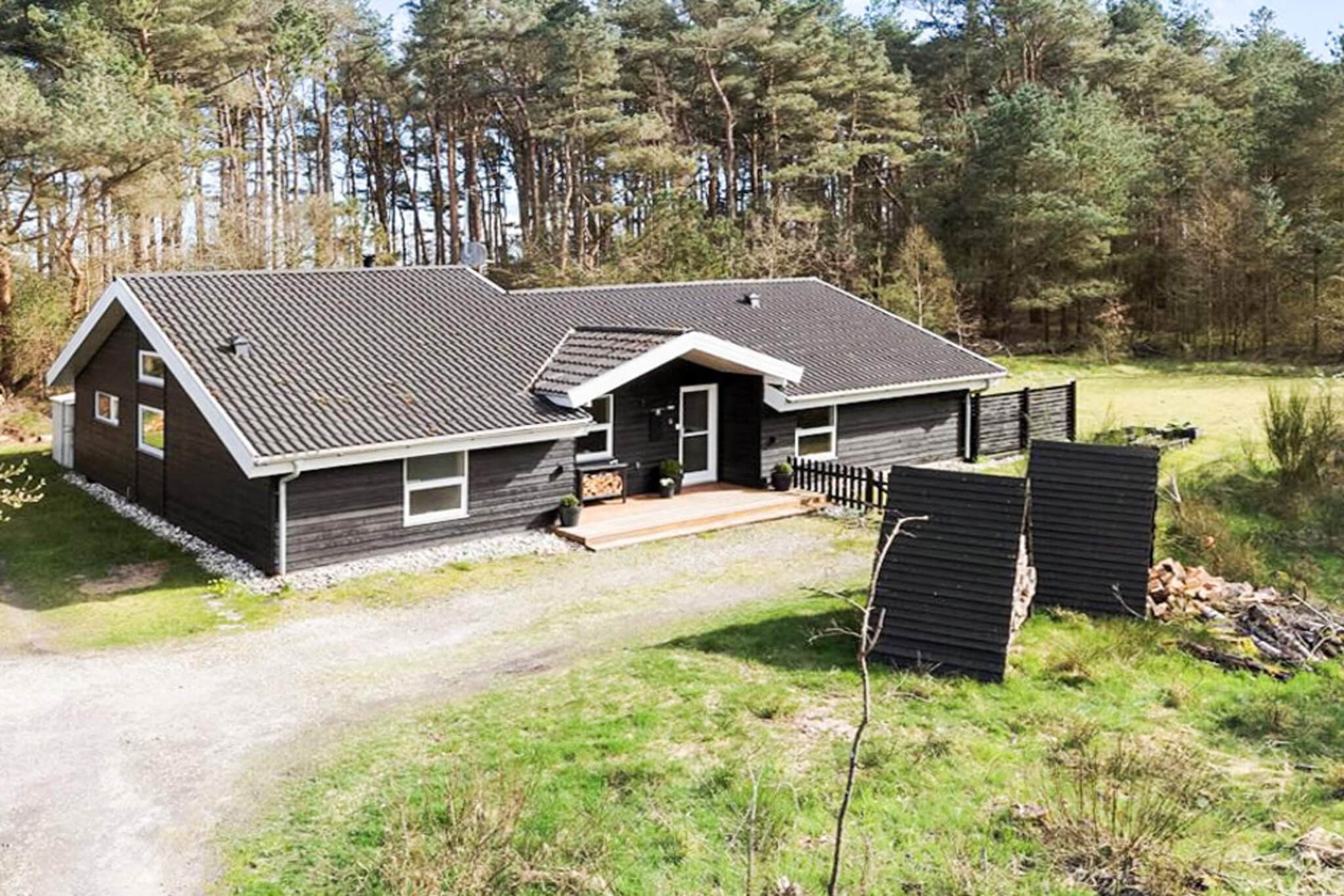 Kitchen(stove(induction), coffee machine, oven, microwave, dishwasher, fridge, freezer(60-99L)), Living/bed room(TV(german television channels, danish TV channels (DR1 and TV2), norvegian TV channels , swedish TV channels), netflix), bedroom(double bed), bedroom(double bed), bedroom(double bed), bathroom(tumble dryer, washbasin, toilet, washing machine), bathroom(washbasin, shower, shower(outside), toilet), mezzanine(double bed), Bubble bath(indoor, heated, 2 persons), sauna(indoor, 4 persons), heating(electric), terrace, garden furniture, sun loungers, air to air heatpump