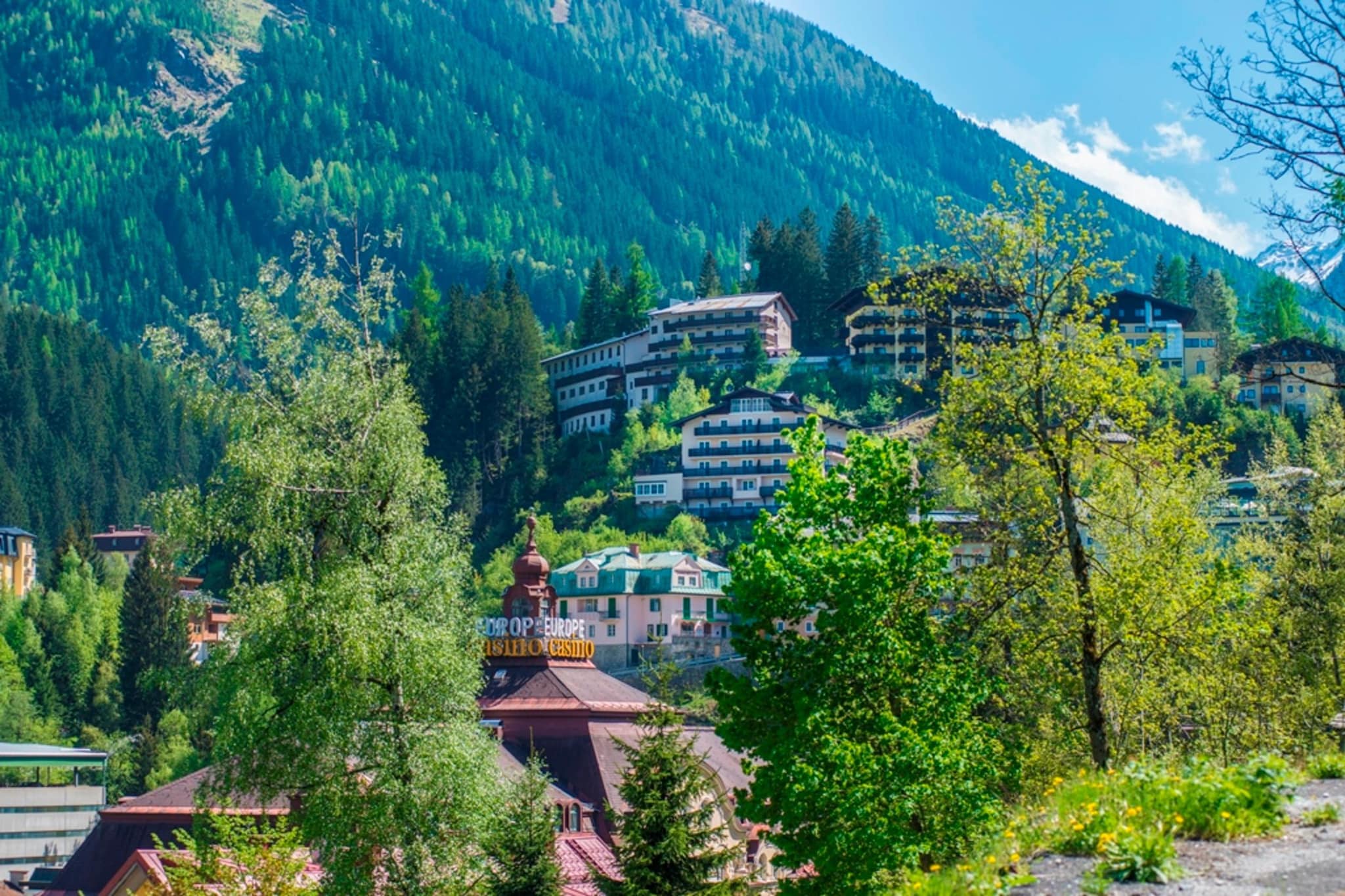 A2S Alpenhof 01-Gebieden zomer 1km