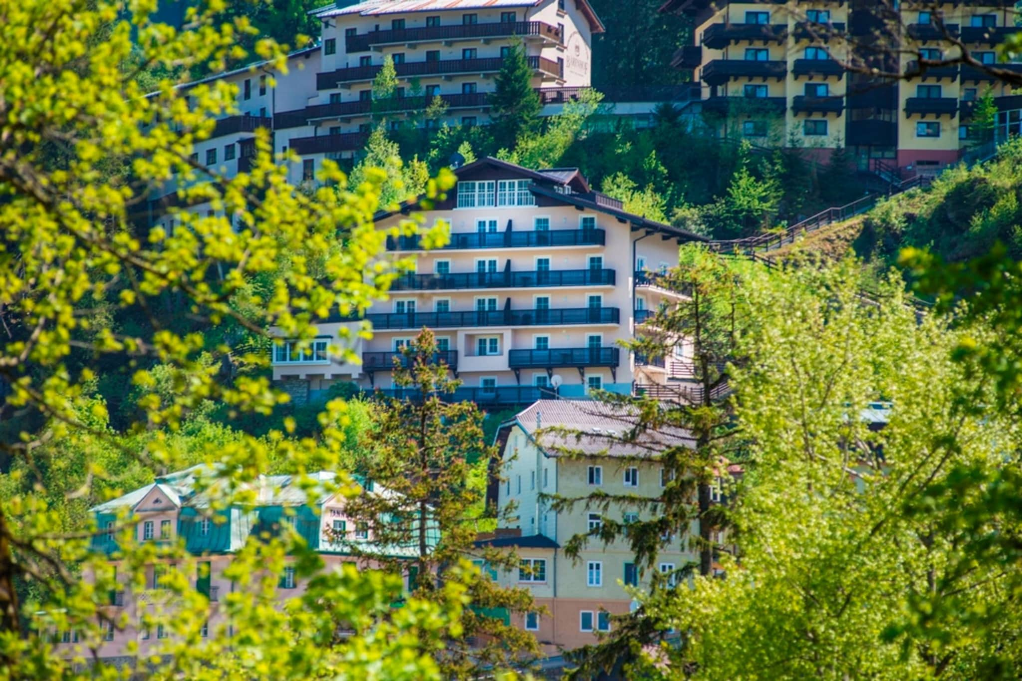 A3 Alpenhof-Gebieden zomer 1km