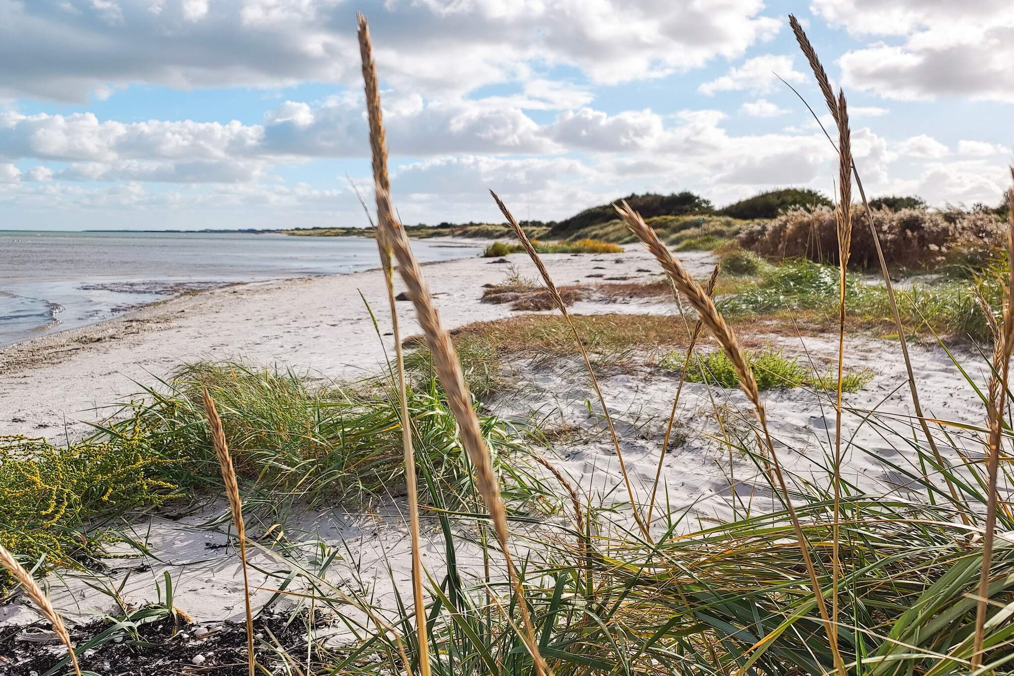 7 Personen vakantie huis in Hadsund - Waterzicht