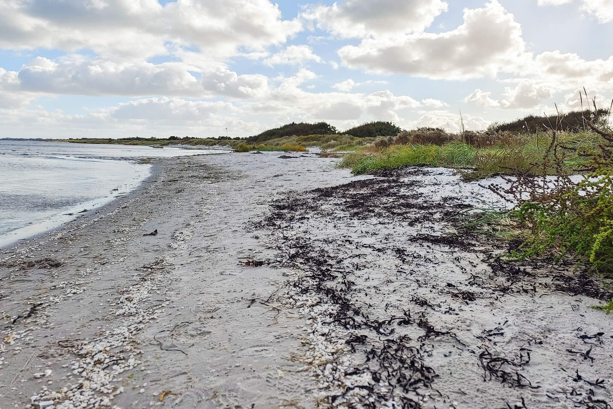 7 Personen vakantie huis in Hadsund - Waterzicht