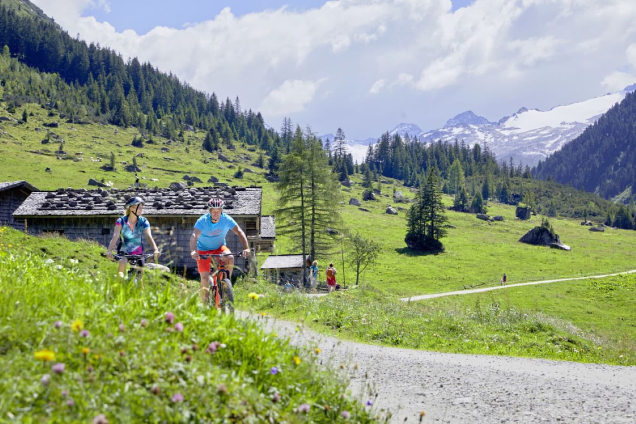 Bergresort Tauernblick 5-Gebieden zomer 5km