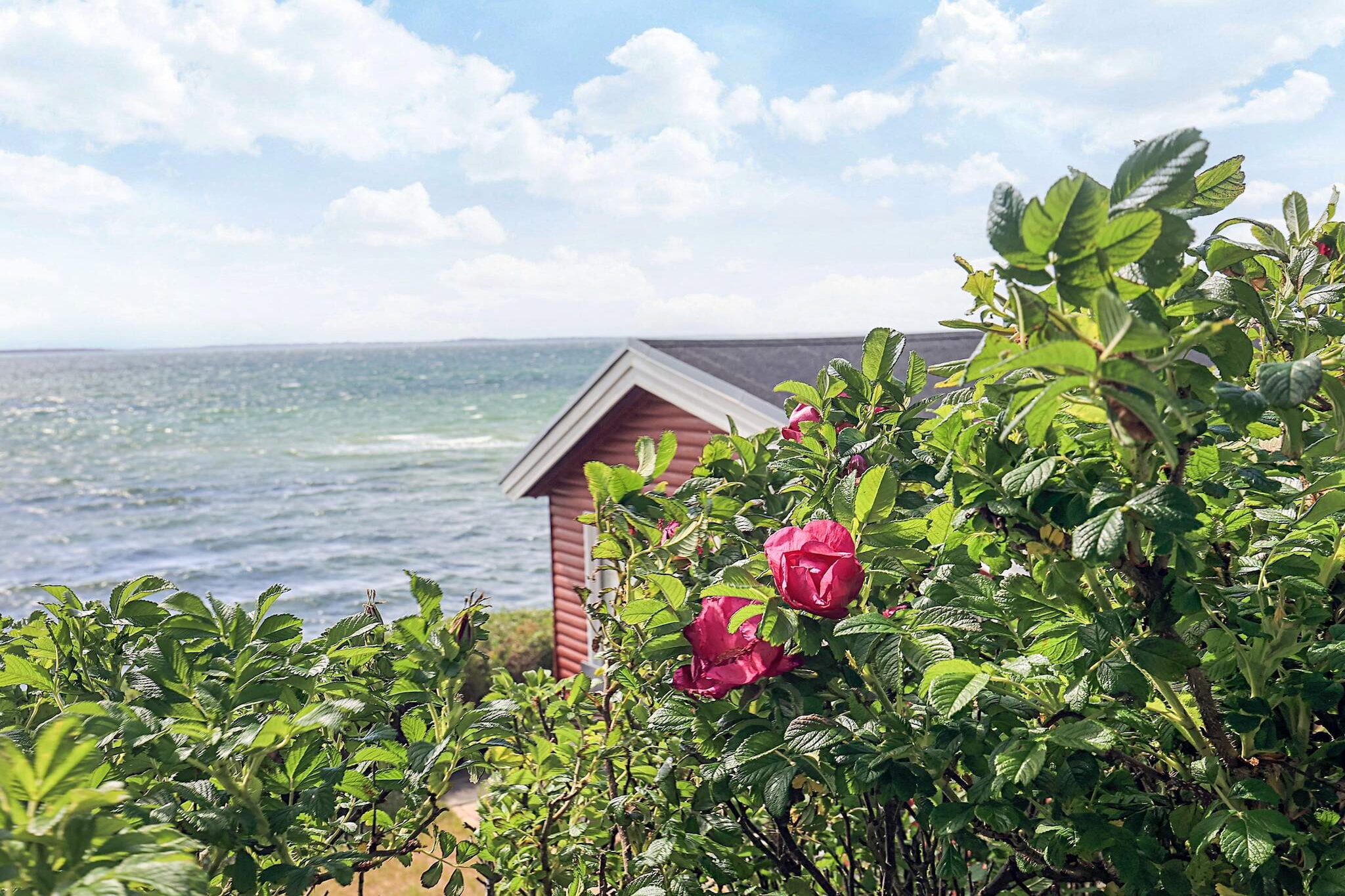 4 Personen vakantie huis in Martofte-Waterzicht