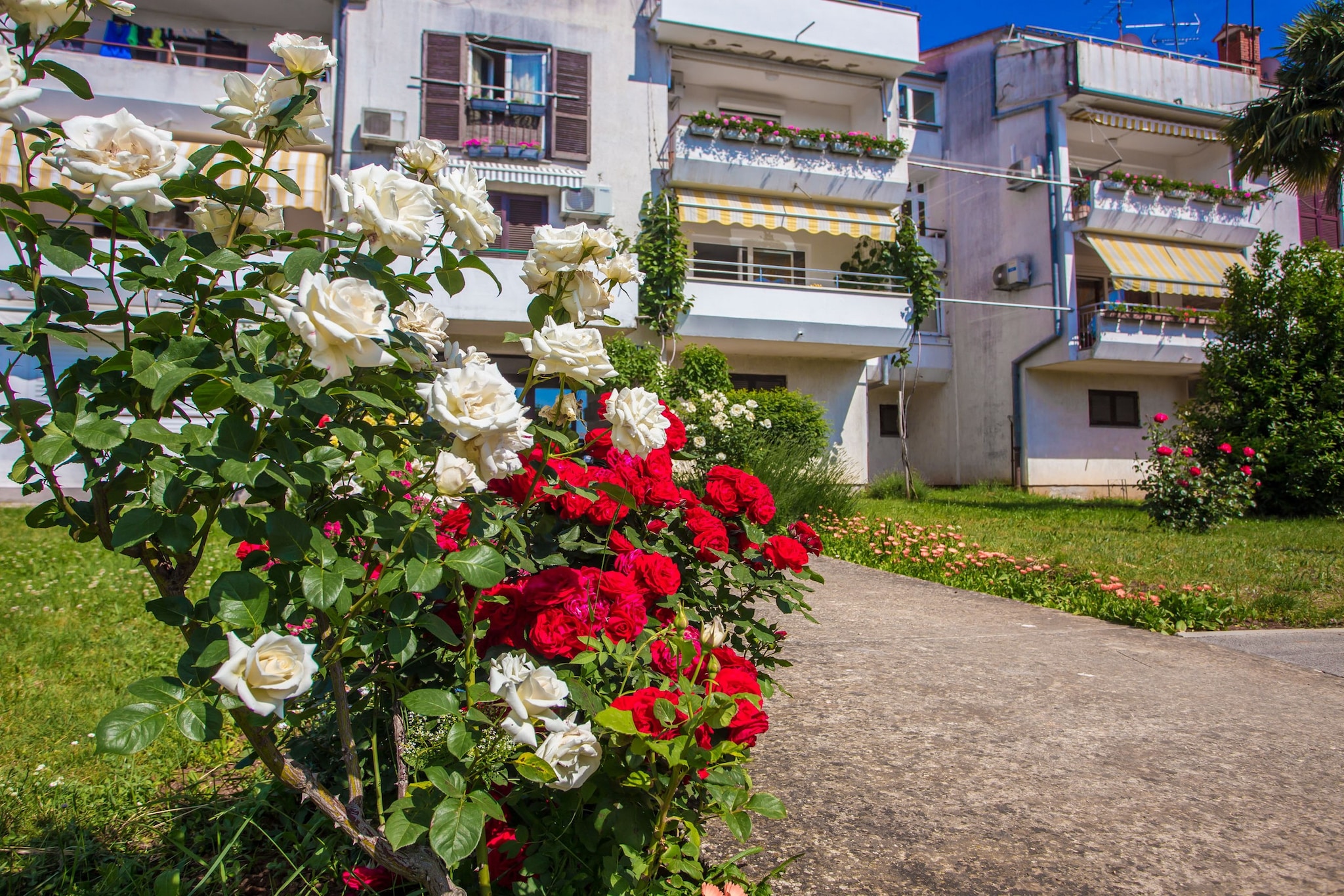 Apartment Tereza Porec-Buitenlucht