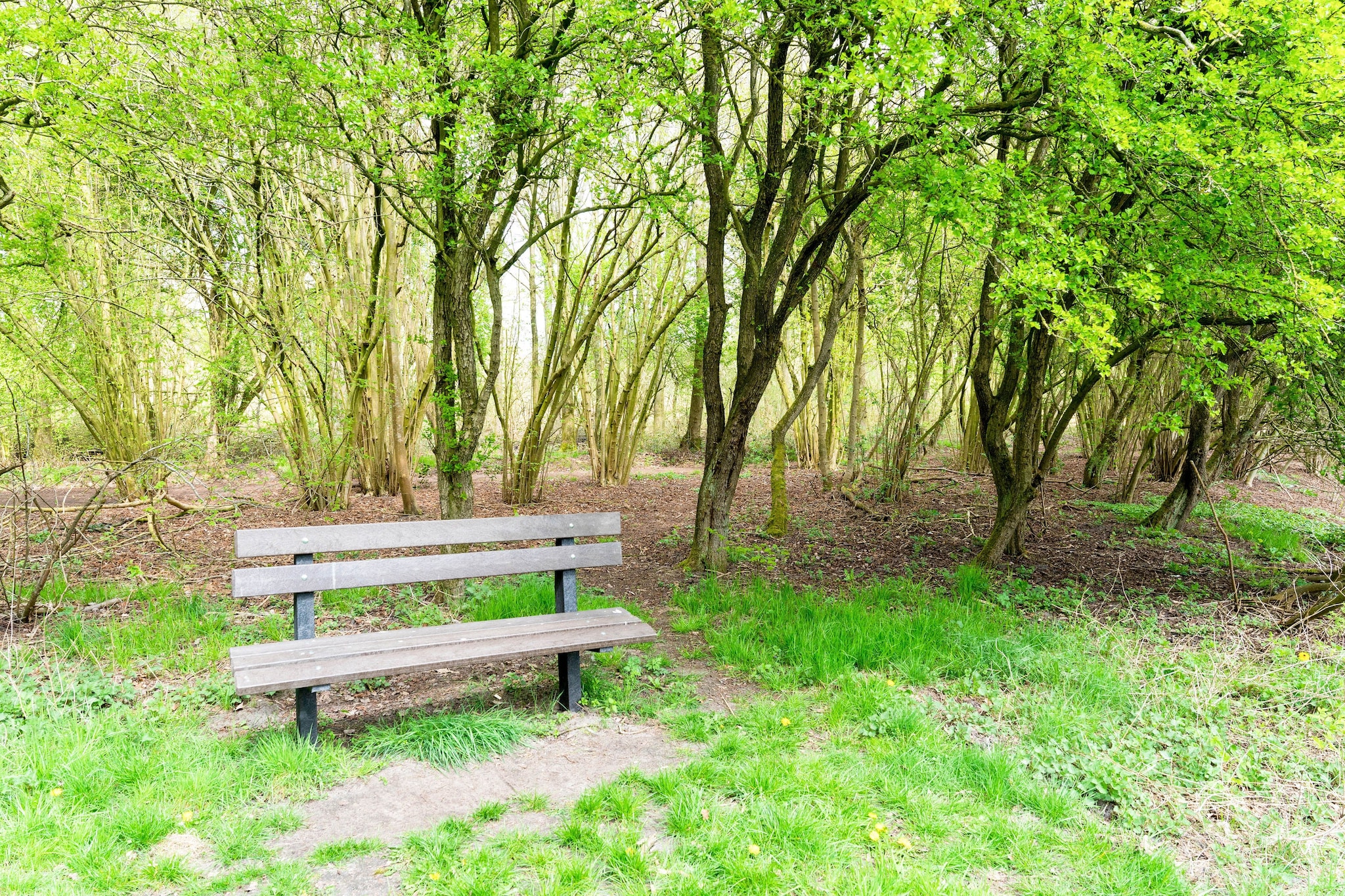 Okken House 3A-Gebieden zomer 5km