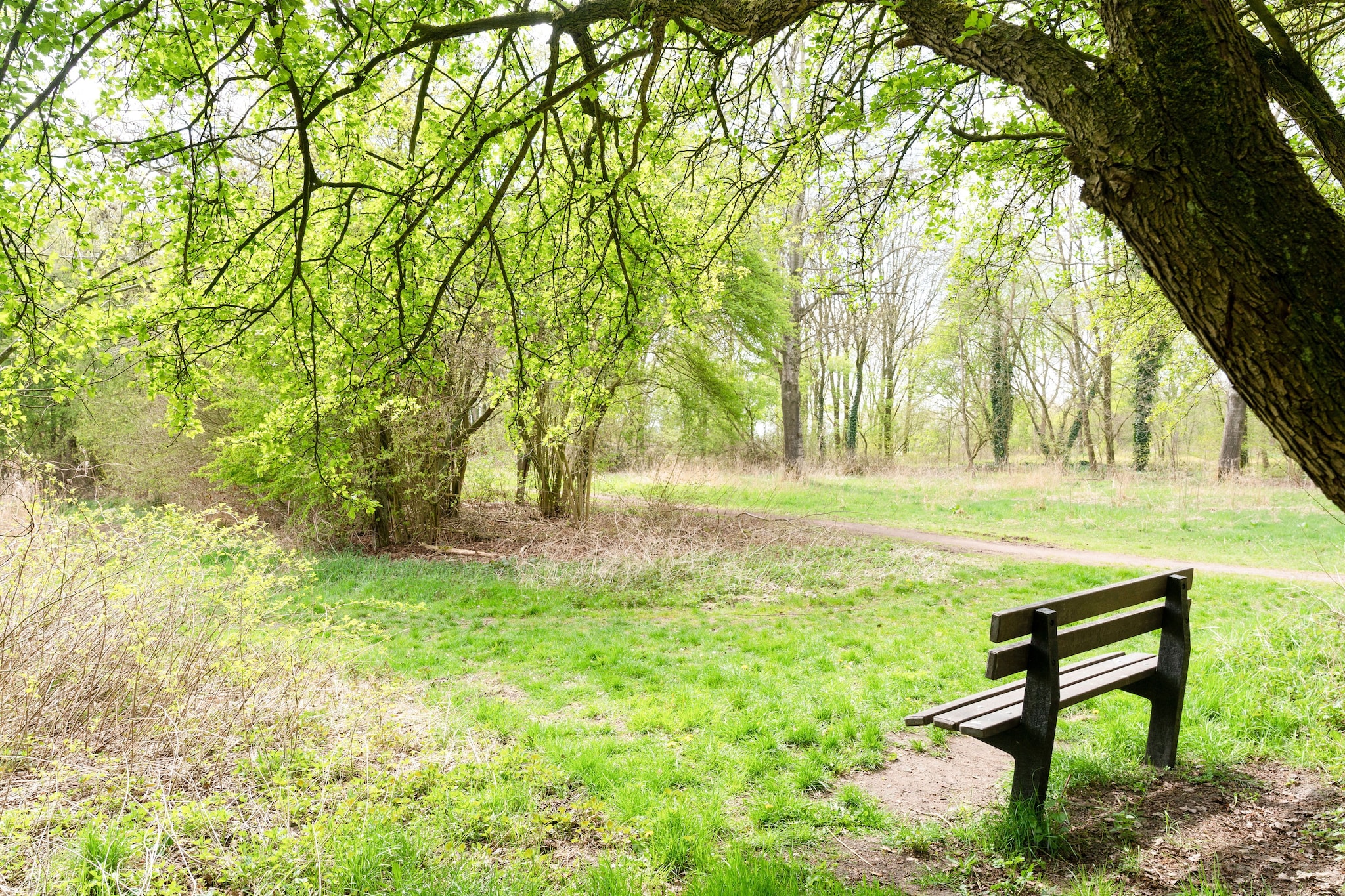 Okken House 3A-Gebieden zomer 5km