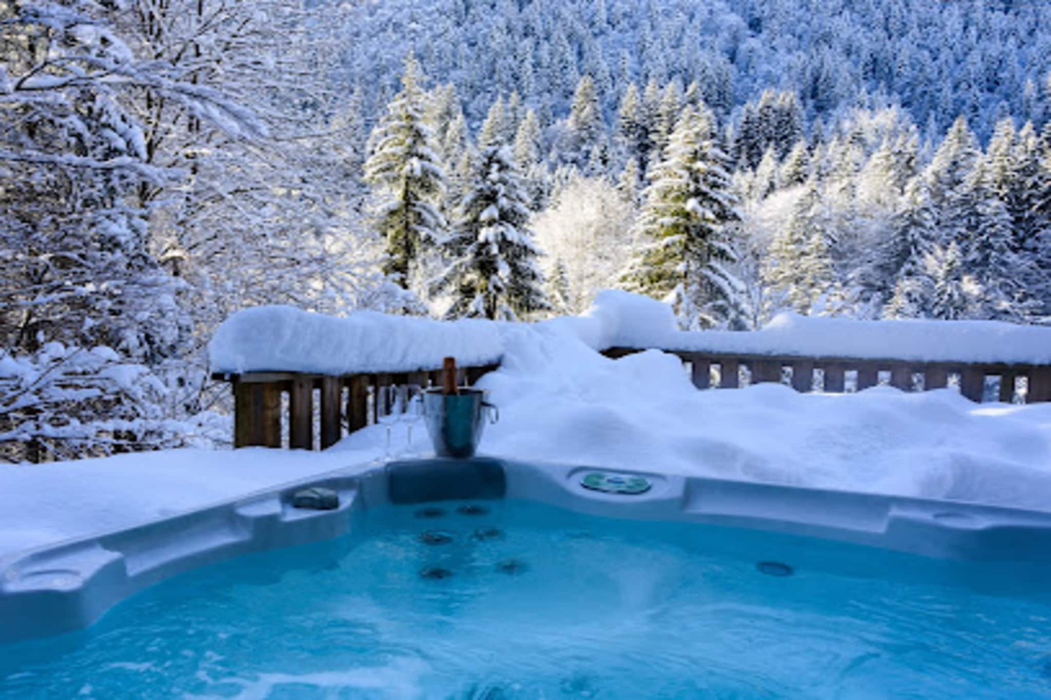 Apartment in Morzine at Nyon Ski Slopes