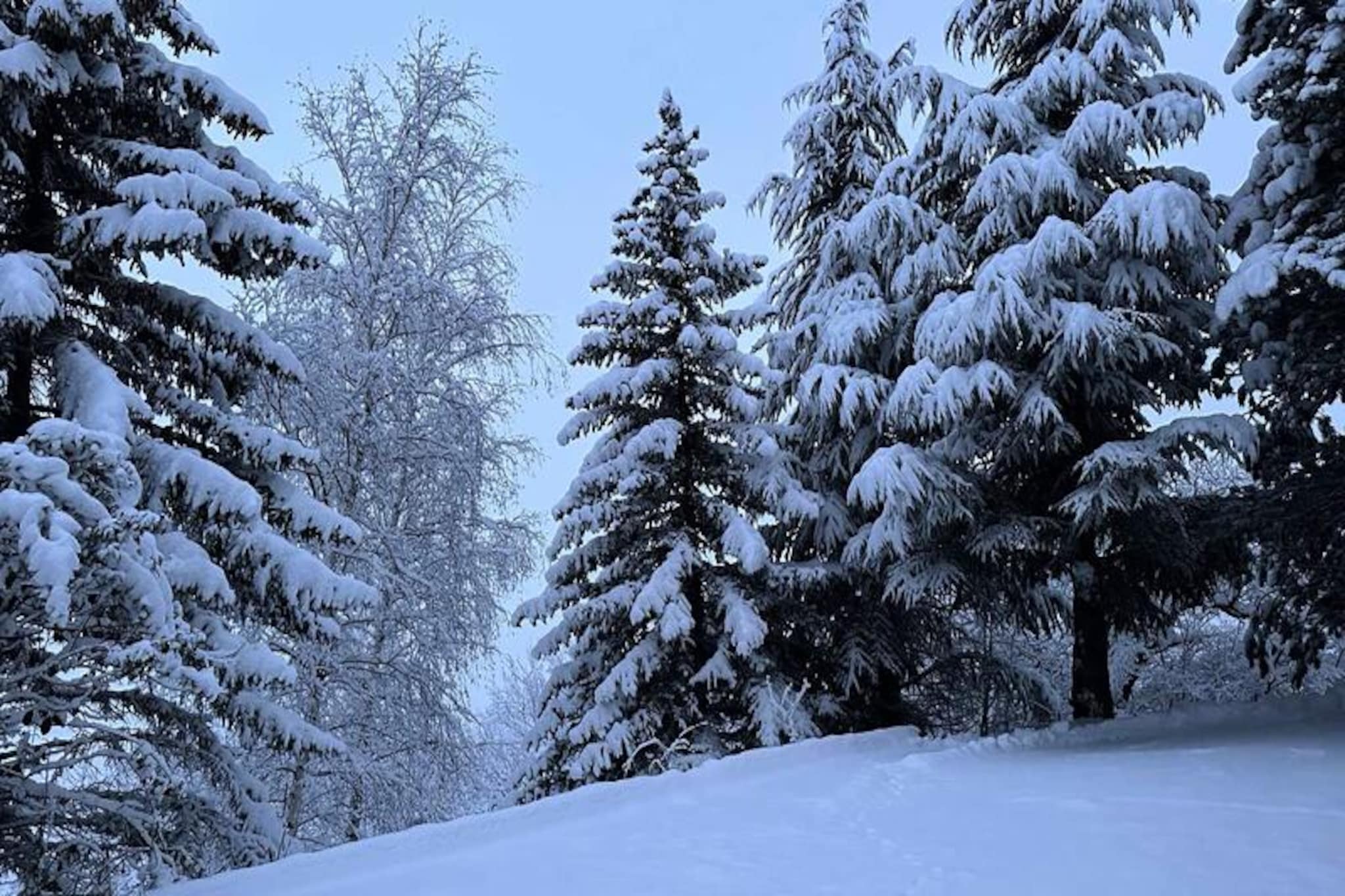Résidence Les Terrasses De Vars Ste Marie-Image-tags.