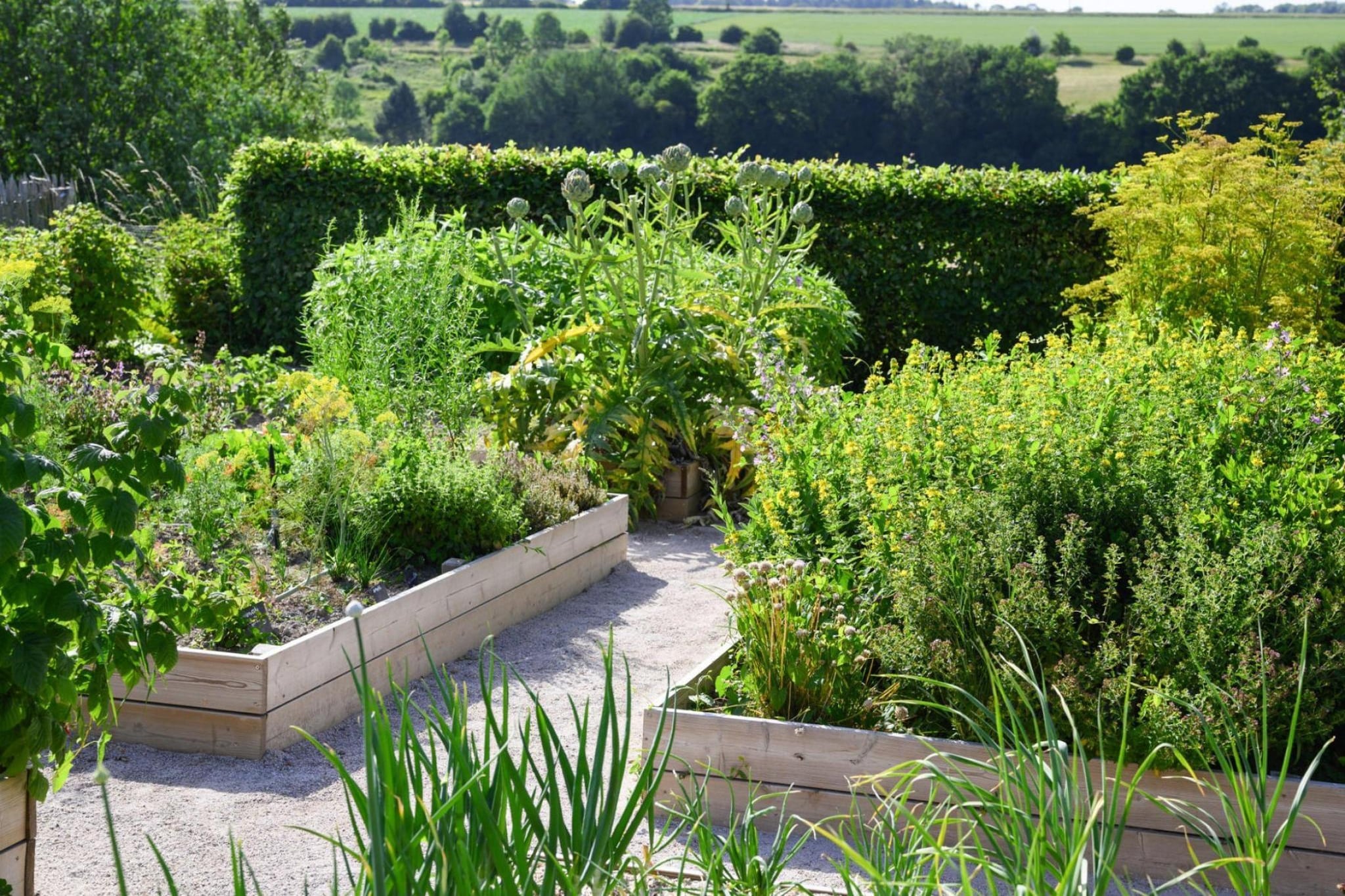 Residence Le Domaine du Val Grand-Laviers // T4 - Gardens in summer