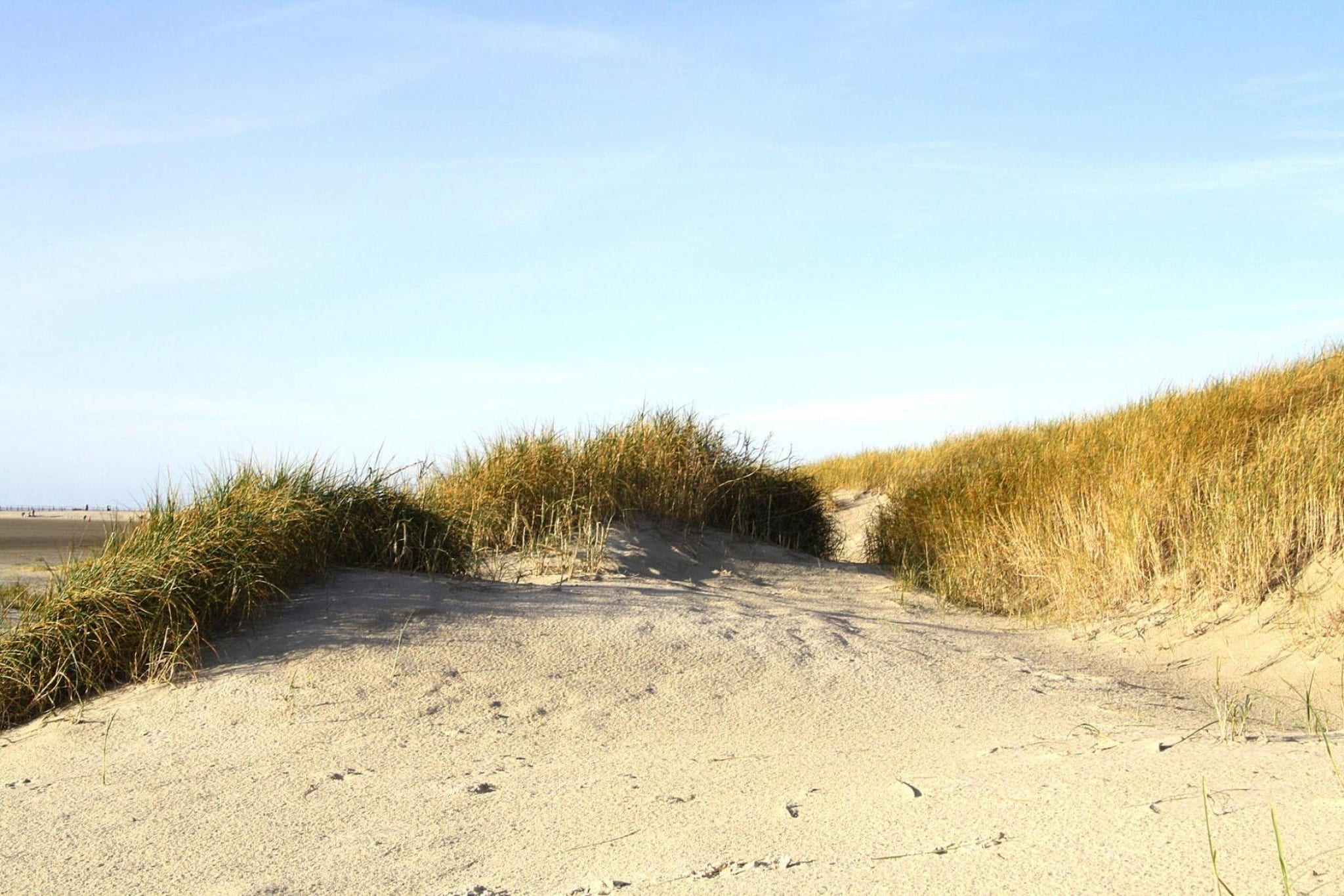 Watt 1 - Gebieden zomer 5km