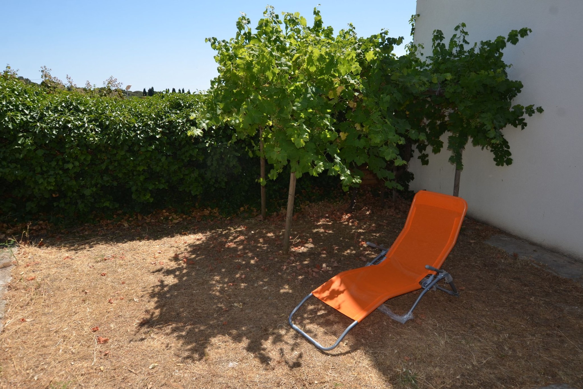 Tranquil Rovinj Studio Apartments - Studio Apartment with Terrace-Outdoor