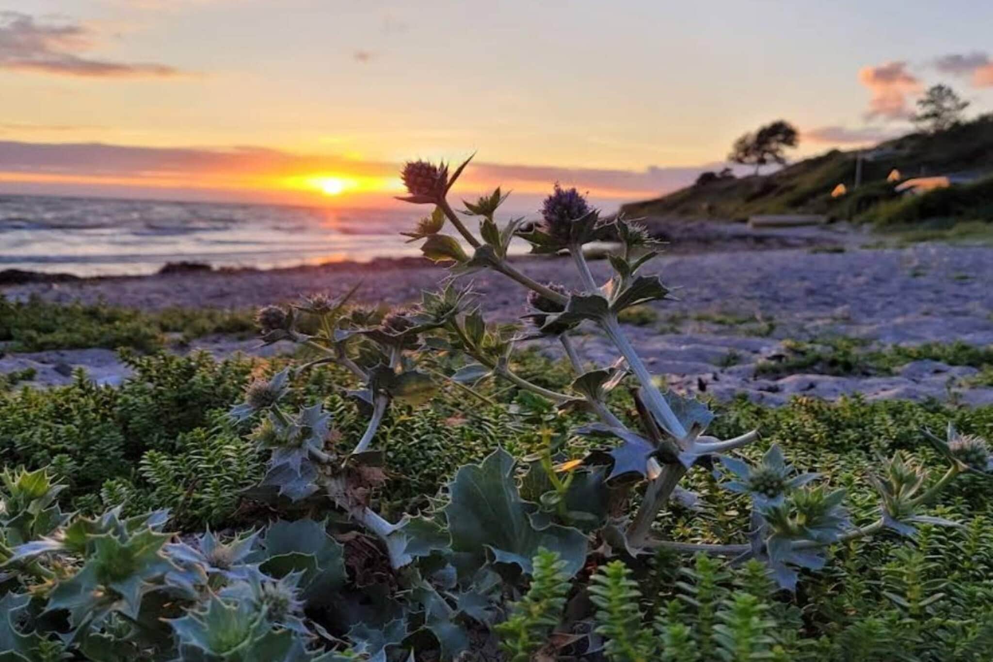 4 etoiles maison de vacances a Korsør-Non étiqueté