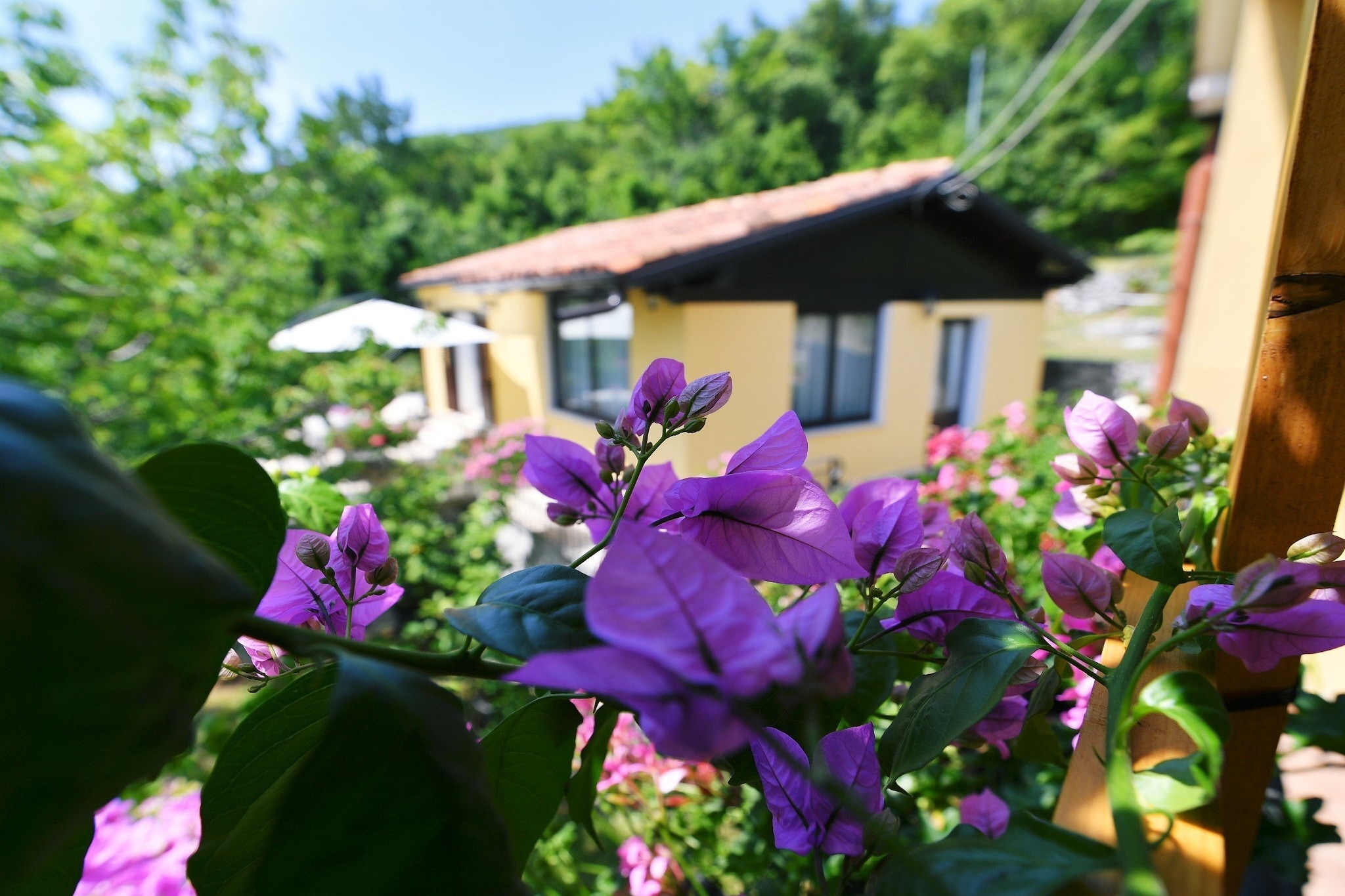 Charming Holiday Home with Terrace and Garden - One Bedroom Holiday Home