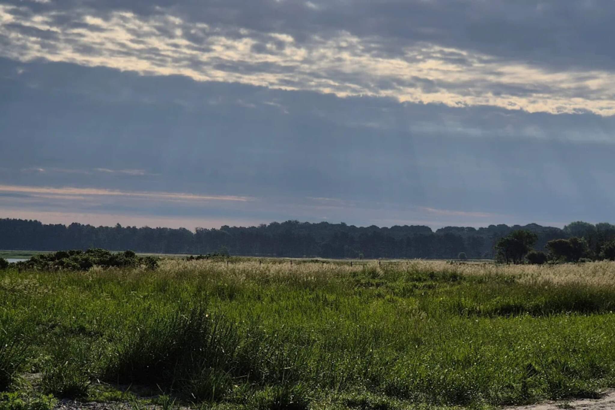 Internet Access DSL, Kitchen(cooker(electric), coffee machine, microwave, dishwasher, fridge(+ freezer)), Living/bed room, bedroom(double bed), bedroom(single bed), bathroom(washbasin, toilet), bathroom(shower), single bed, heating(electric), air to air heatpump