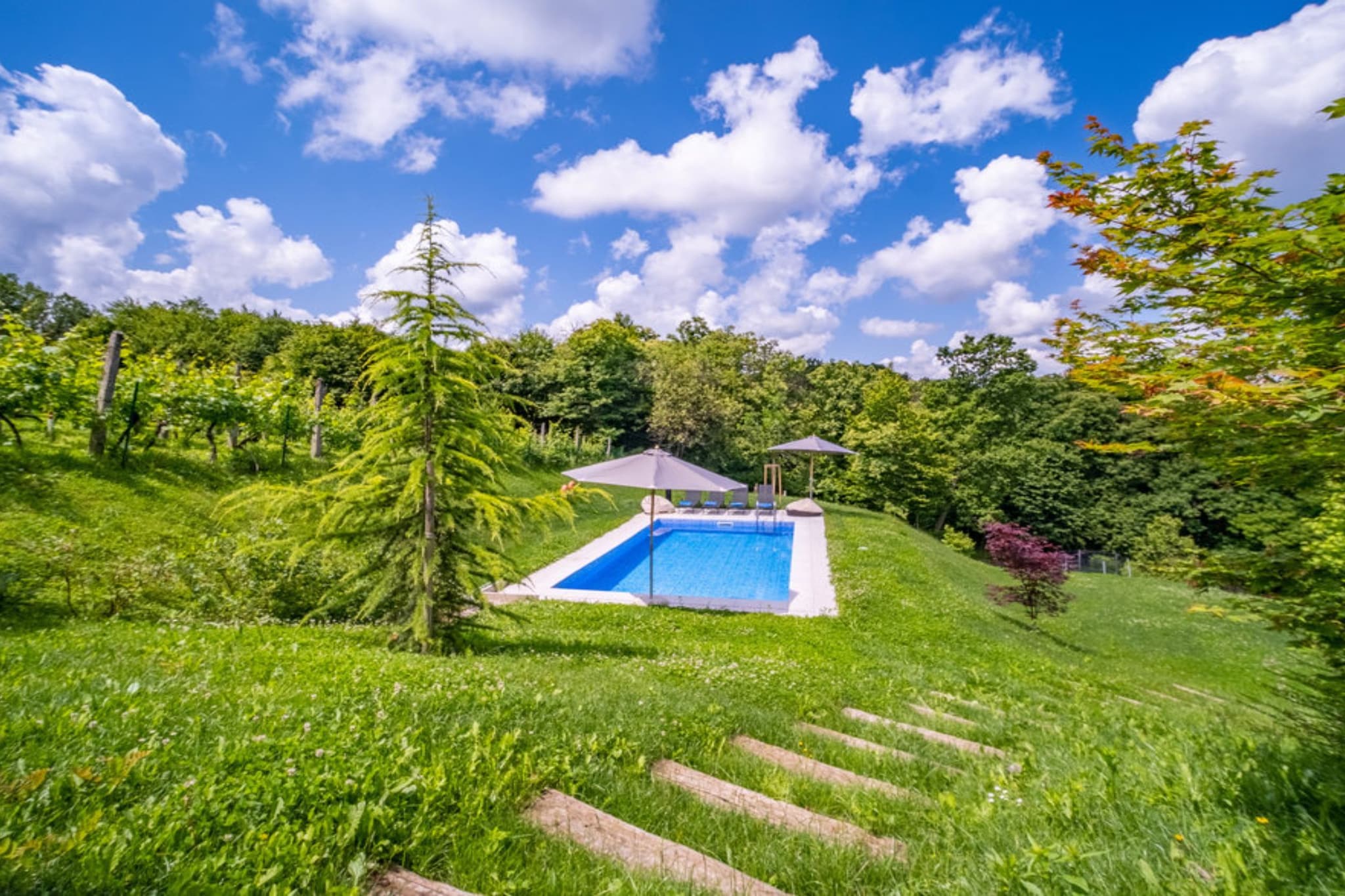 Holiday Home Arbaro - Three Bedroom Holiday Home with Pool-Uitzicht