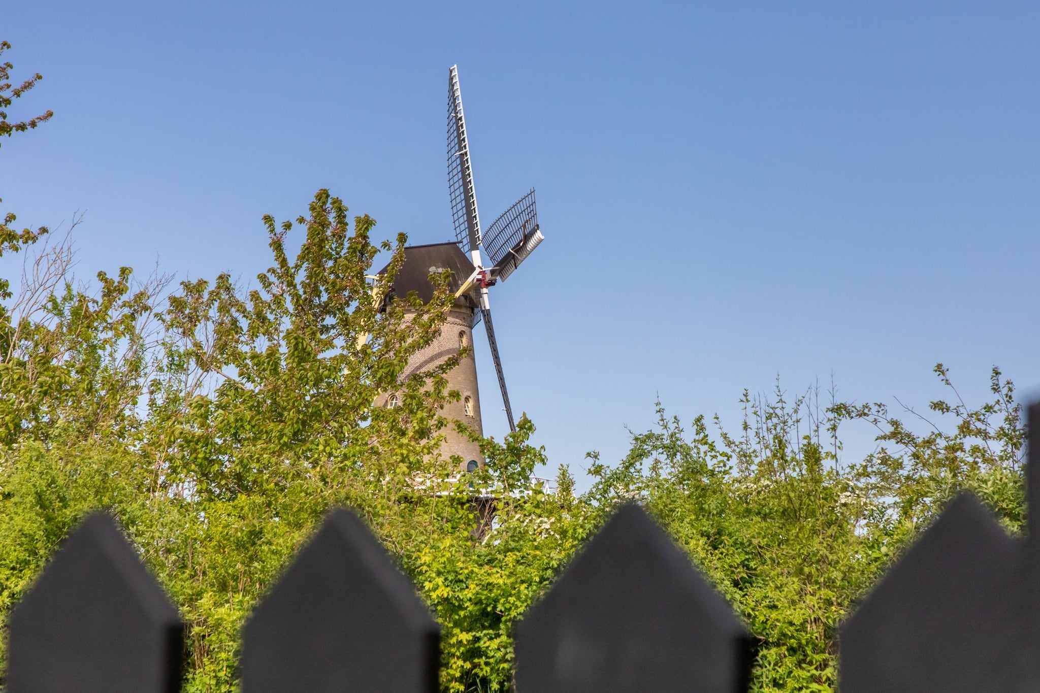 Vakantiehuis 'Boerderij Molenhof' - Stationsweg 5  Heinkenszand - Buitenkant zomer