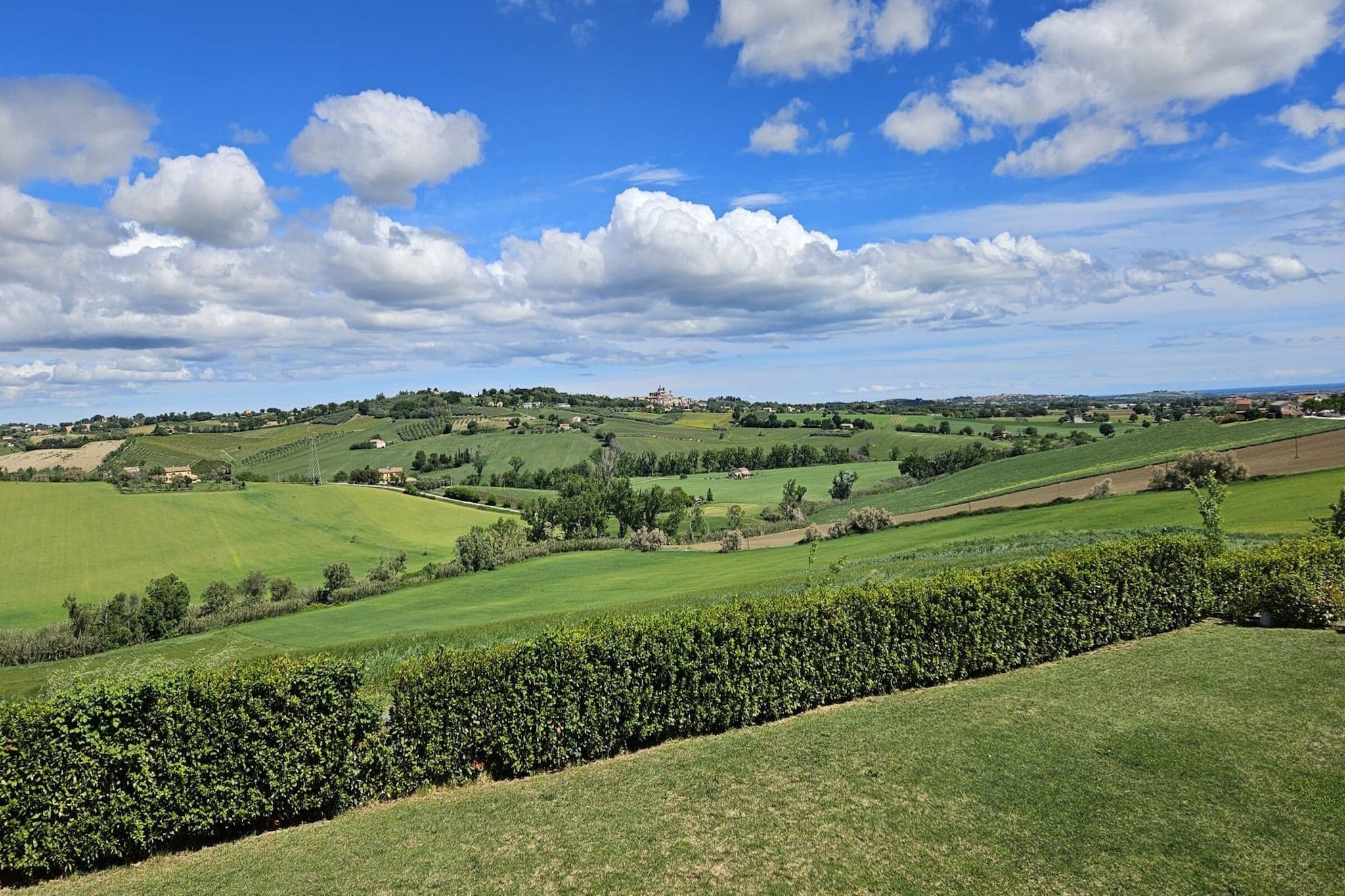 Ginestra-Gebieden zomer 1km