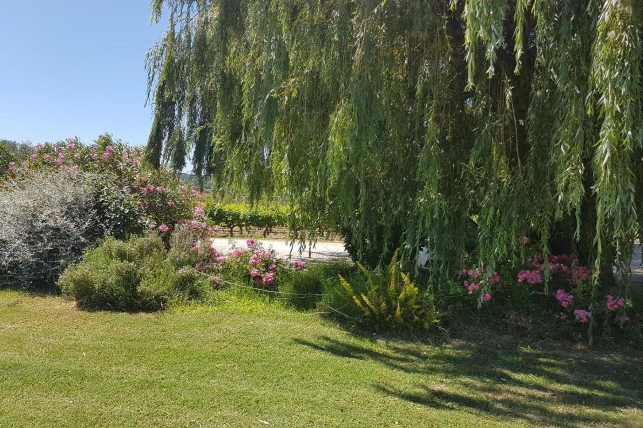 Villa Ninon-Gebieden zomer 20km