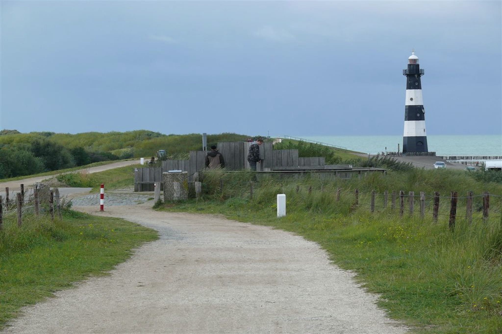 Het Platte Putje - Huisdier - nr 2-Gebieden zomer 20km