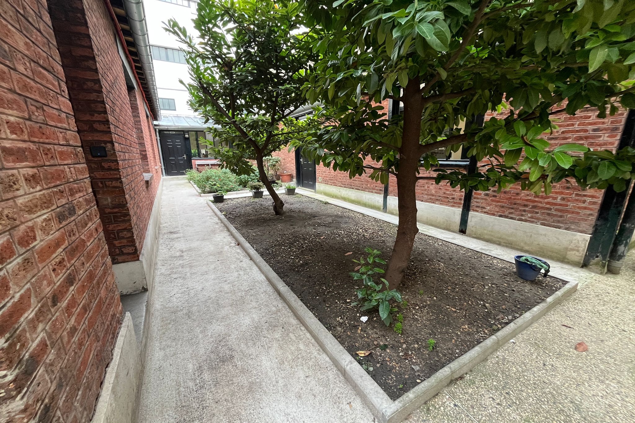 TRUFFAUT 30-Non tagué