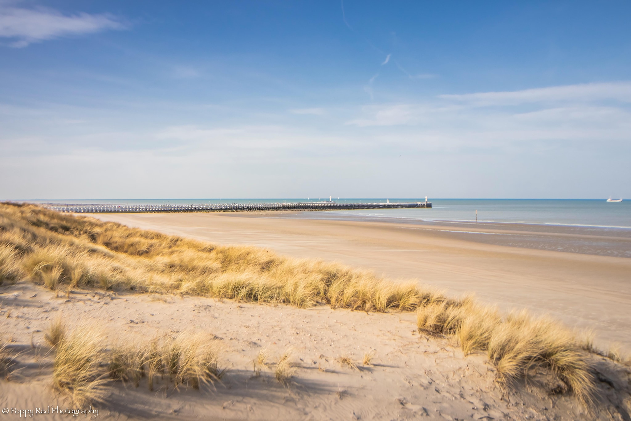 Blankeduyn Appartement In Blankenberge-Gebieden zomer 20km