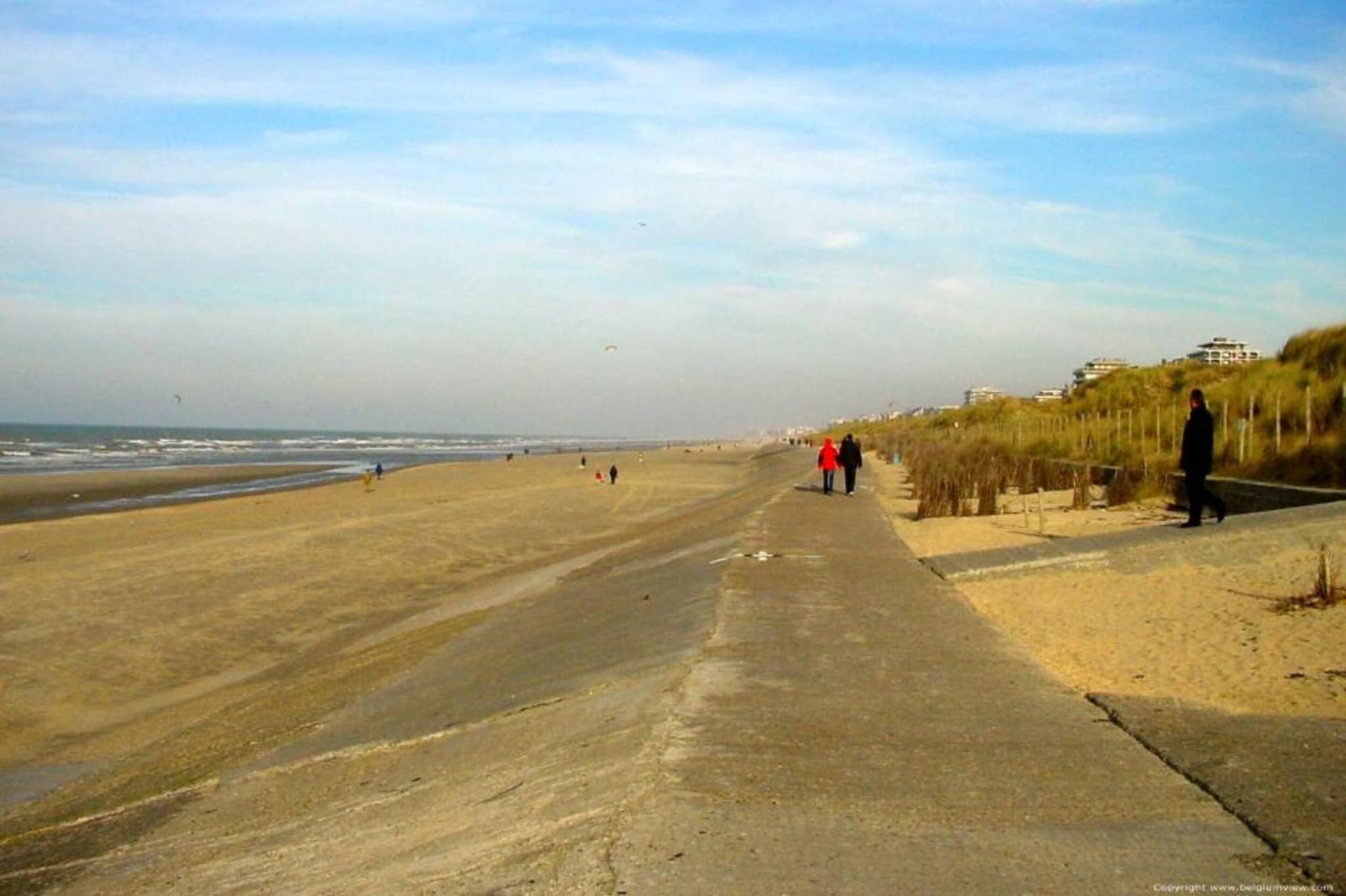 SEASIGHT - 52-Gebieden zomer 1km